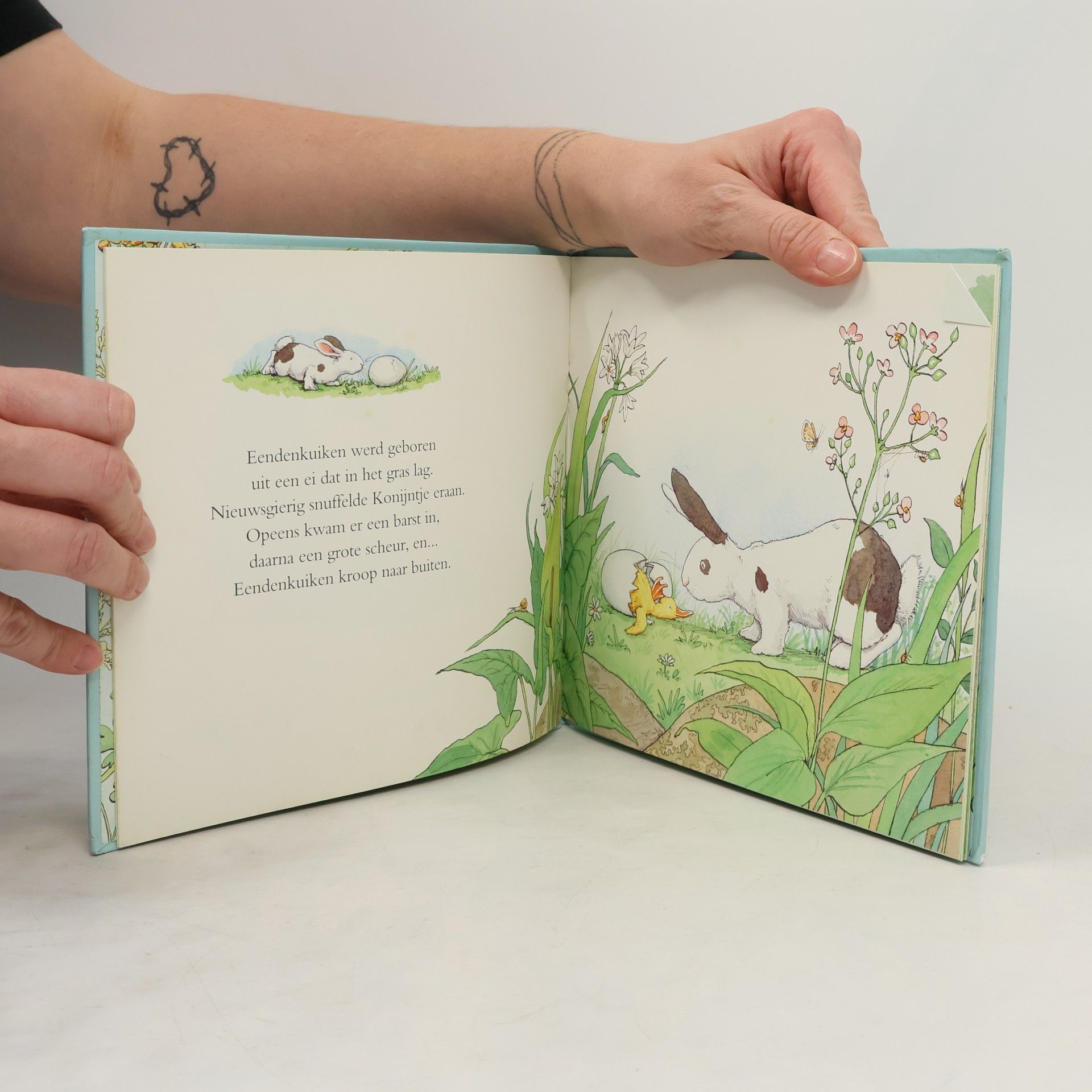 Anita Jeram Allemaal samen