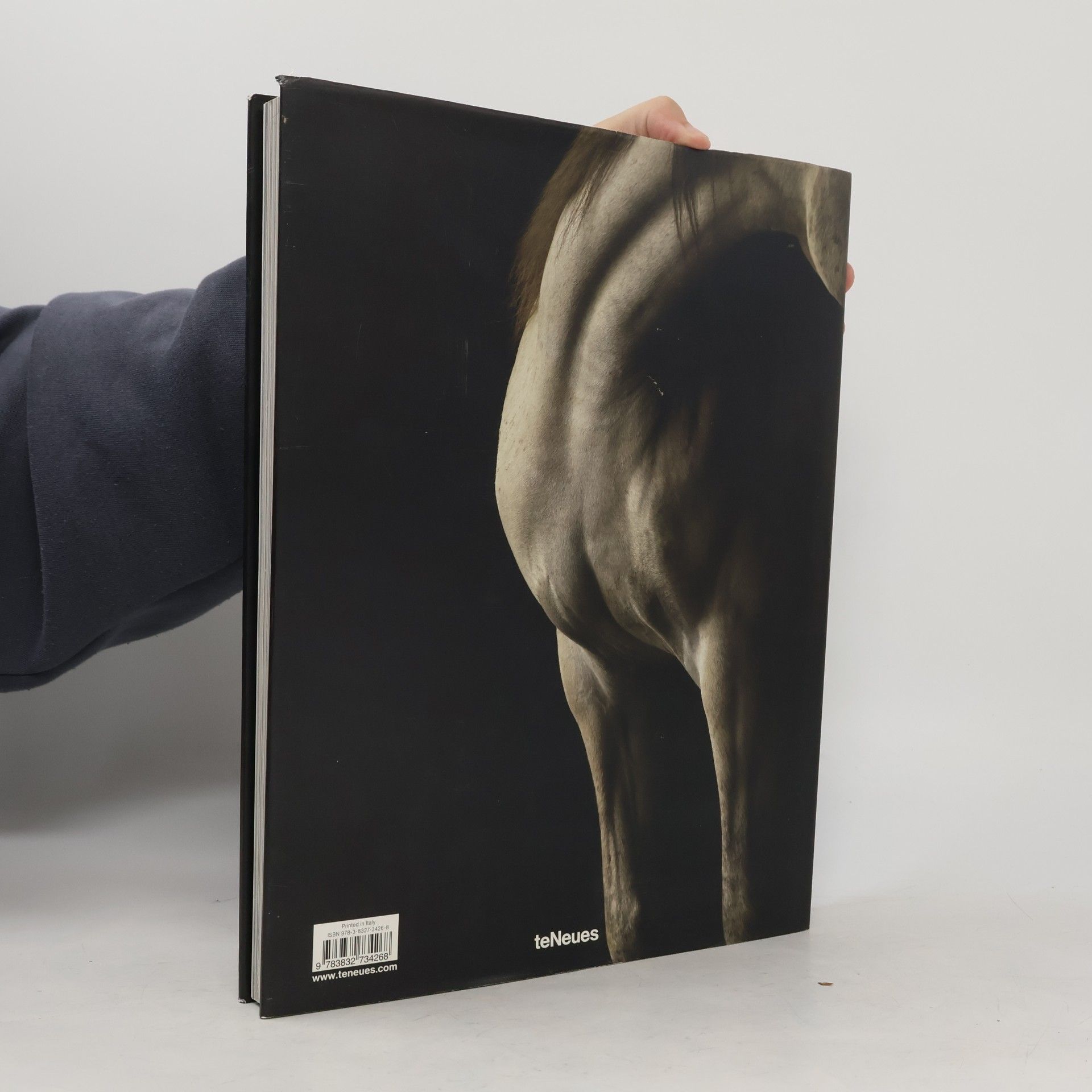 Tony Stromberg Horses