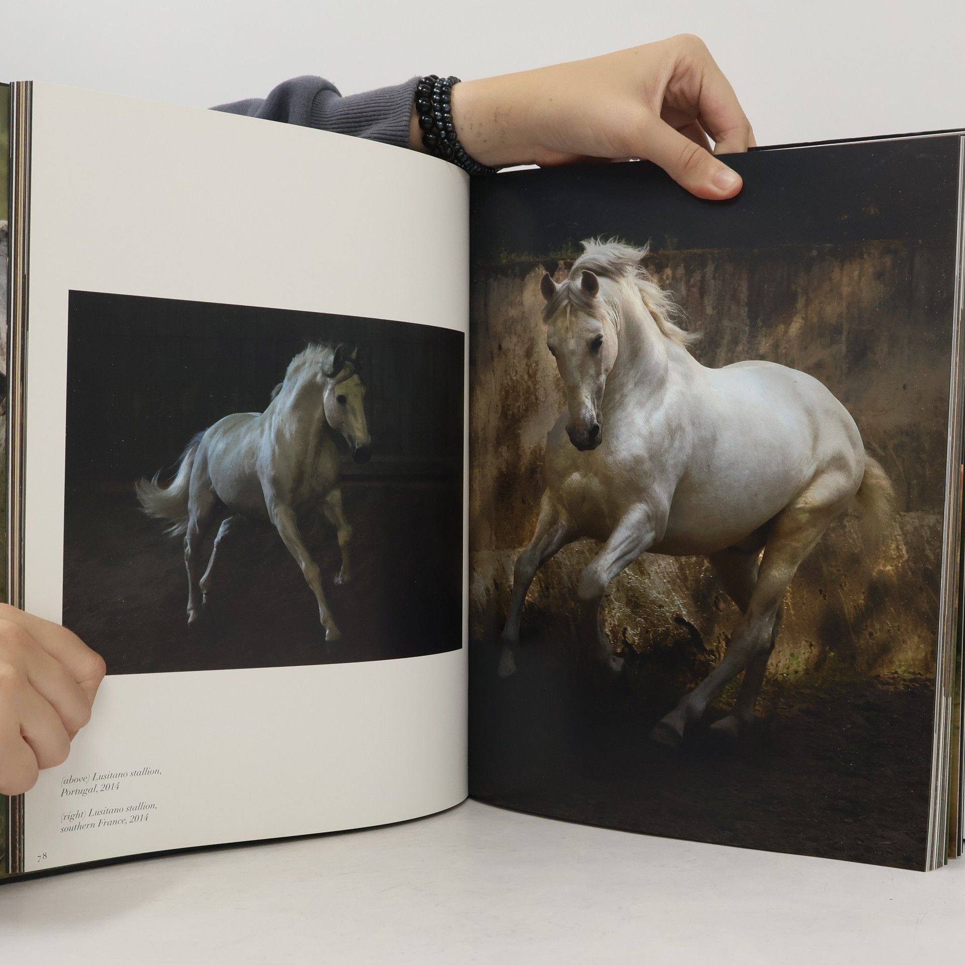 Tony Stromberg Horses