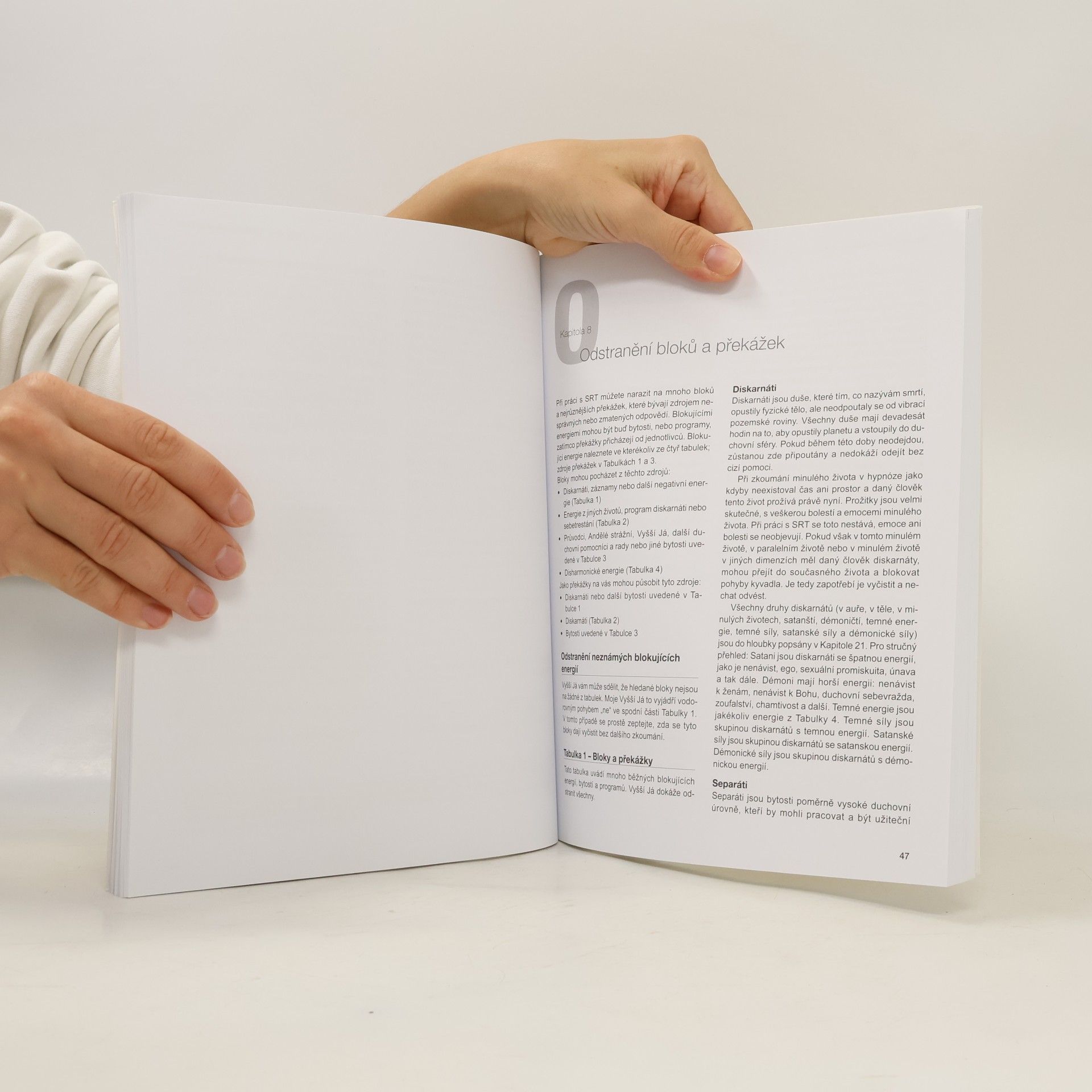 Robert E. Detzler Cesta ke svobodě : vyčištění záznamů vaší duše