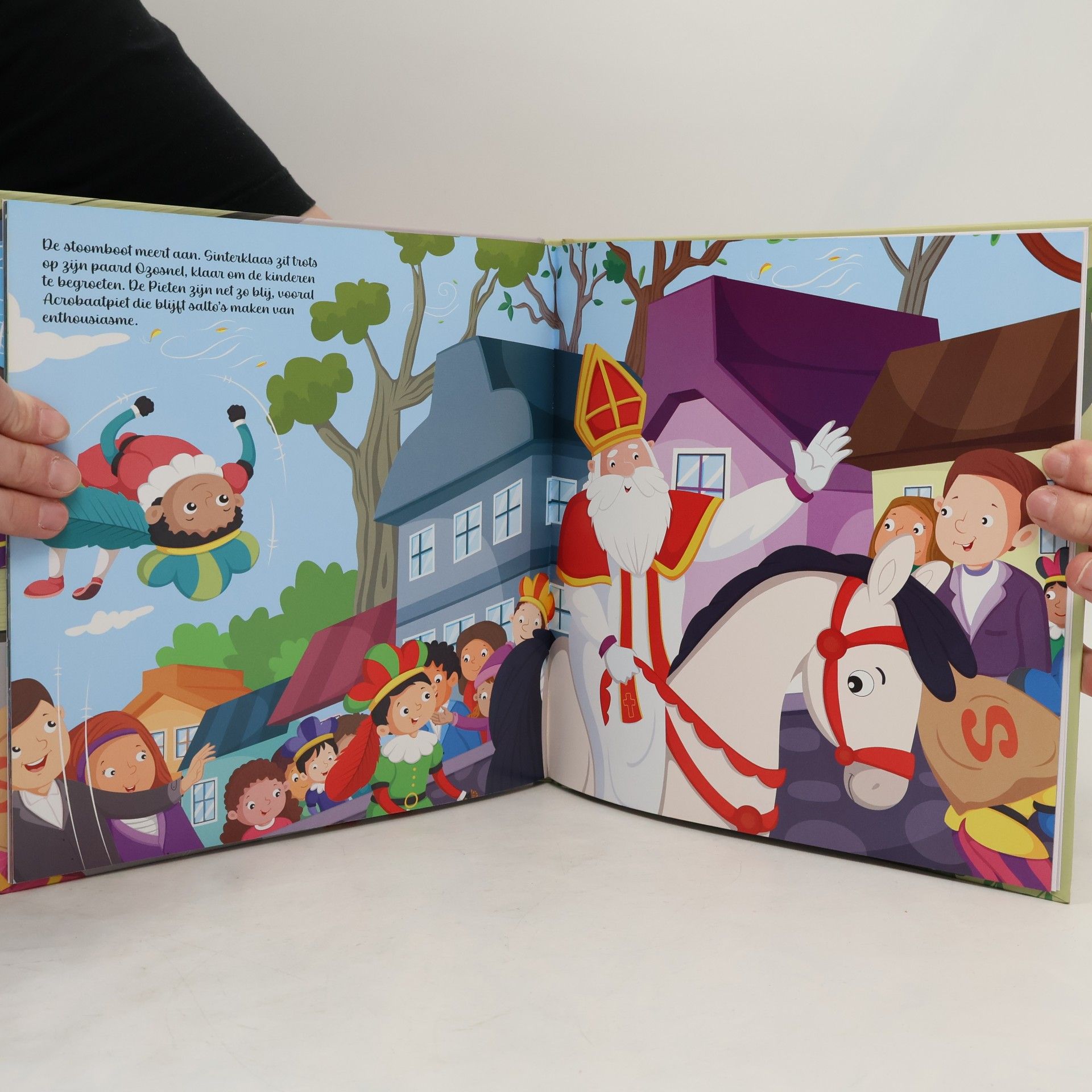 Julie Brante Een Sinterklaasverhaal