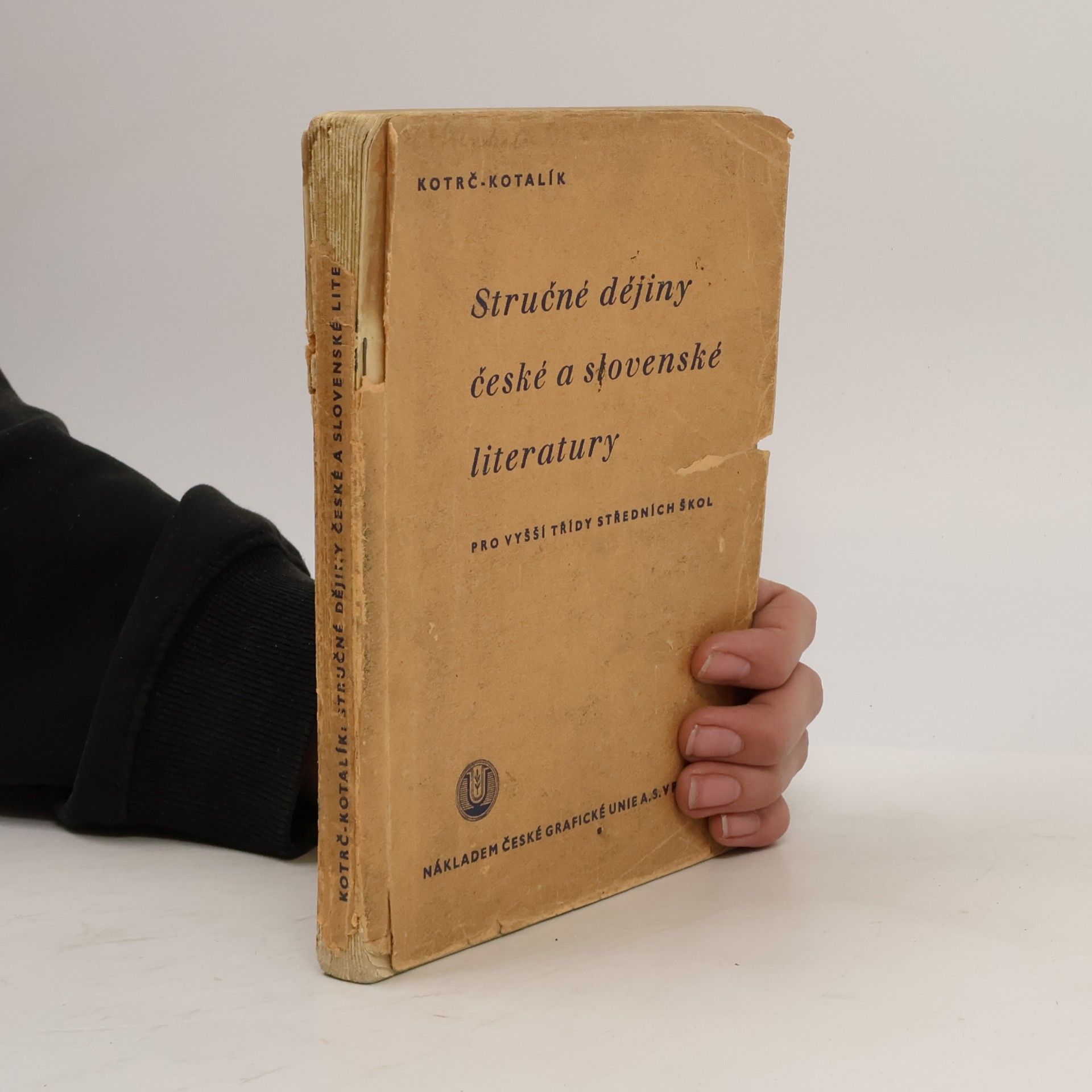 Stručné dějiny české a slovenské literatury