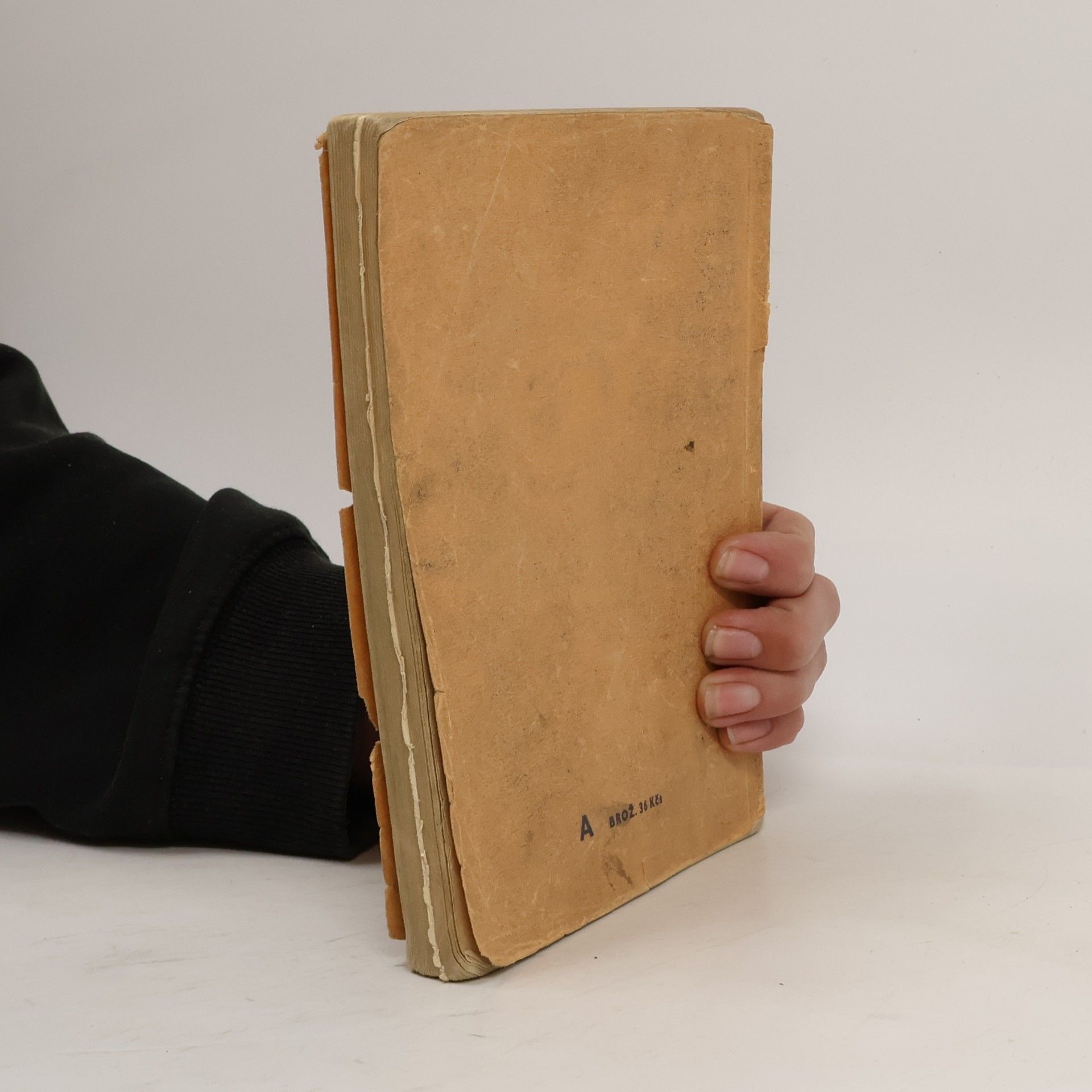 Josef Kotrč Stručné dějiny české a slovenské literatury