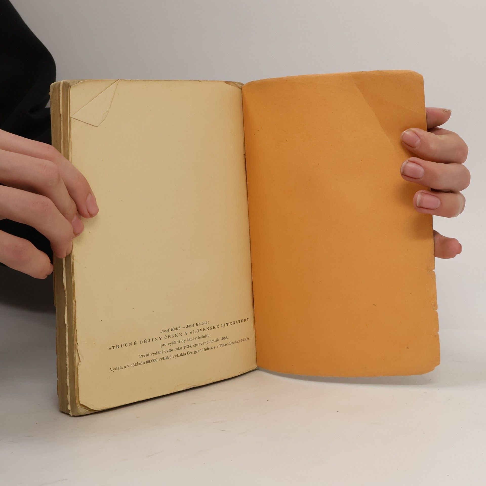 Josef Kotrč Stručné dějiny české a slovenské literatury
