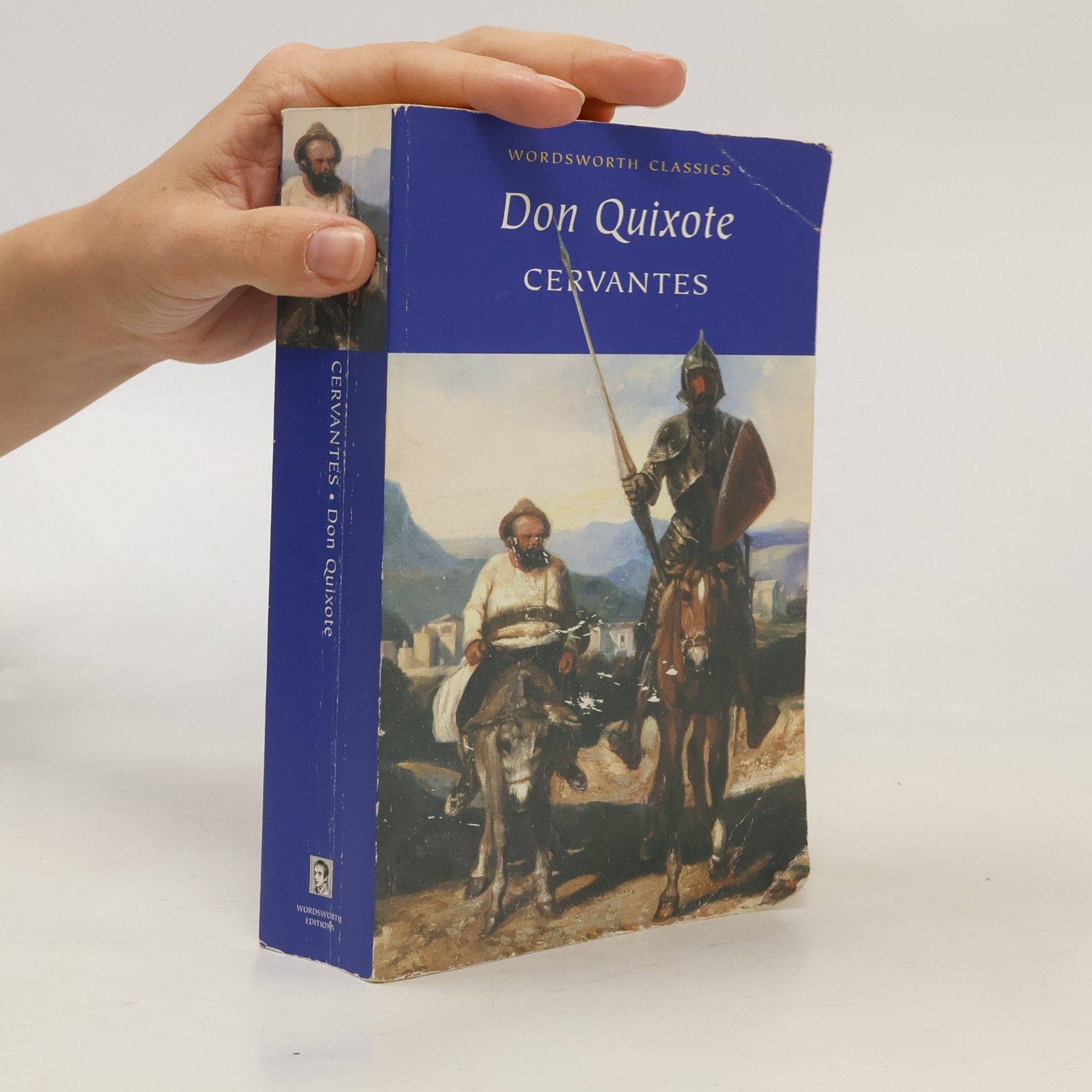 Cervantes Don Quixote