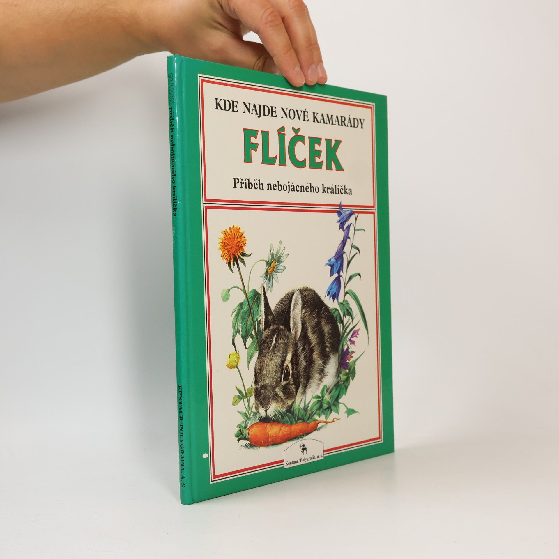 Flíček: Příběh nebojácného králíčka