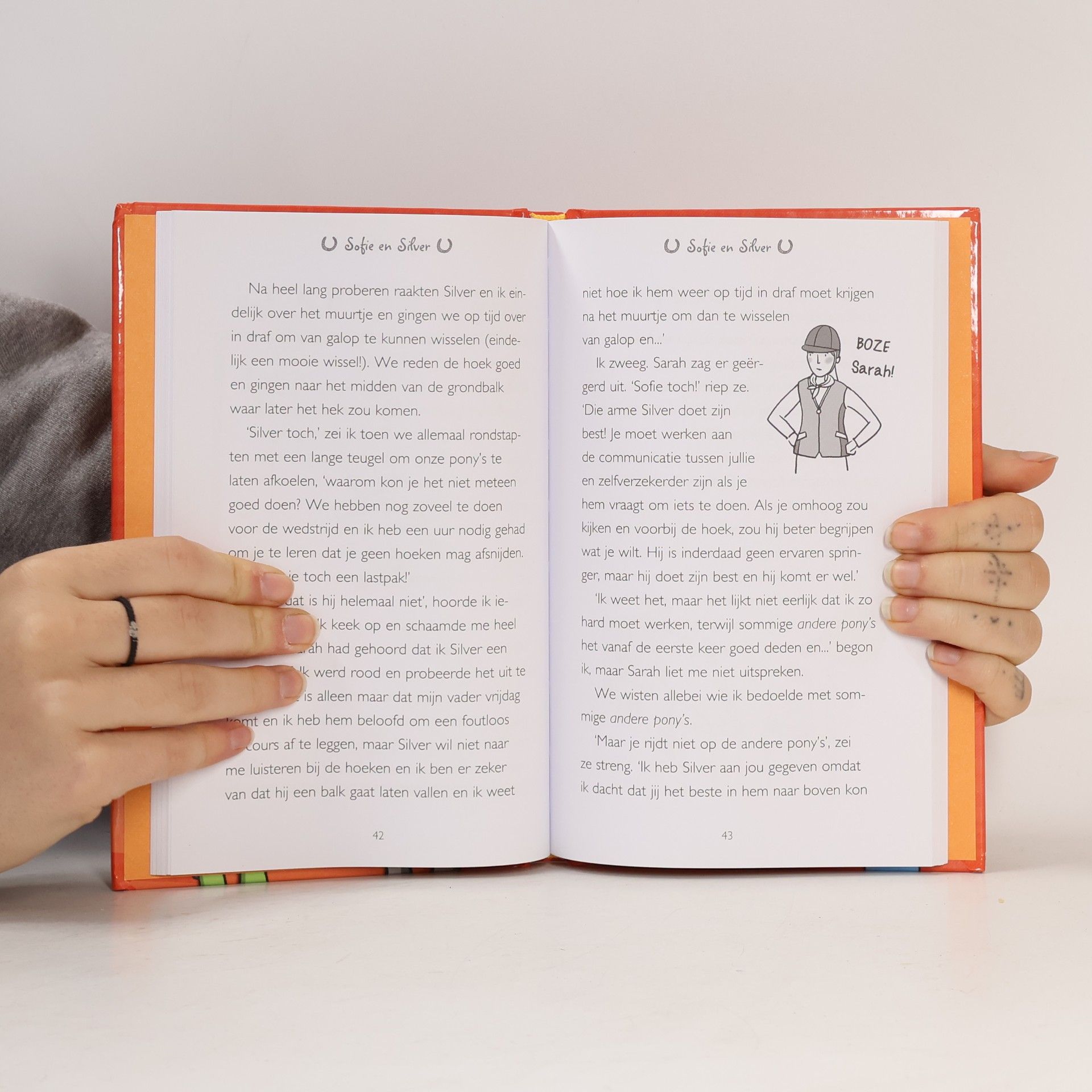 Kelly McKain Ponykamp avonturen - Het dagboek van Sofie