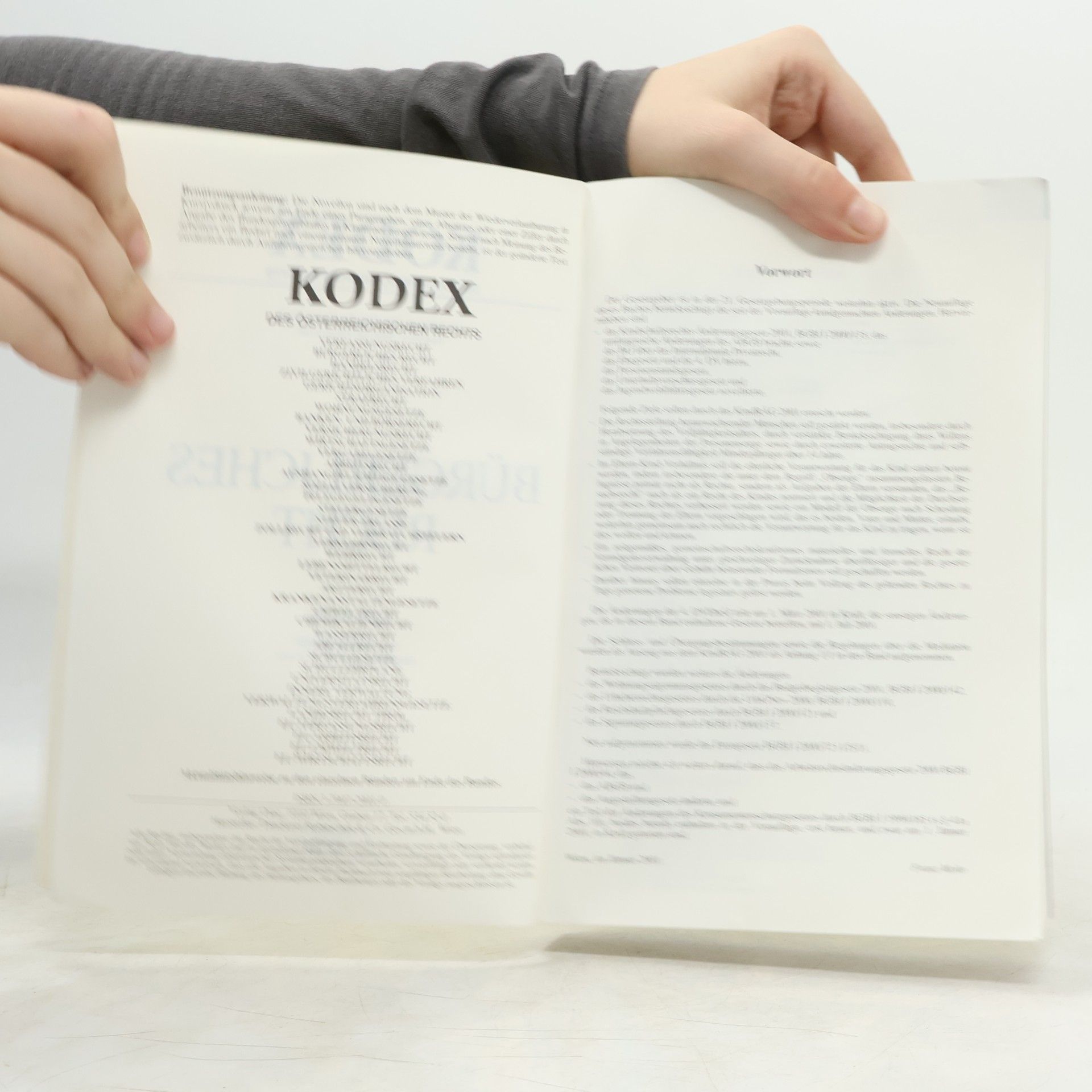 Autorenkollektiv Kodex Bürgerliches Recht 23. Auflage