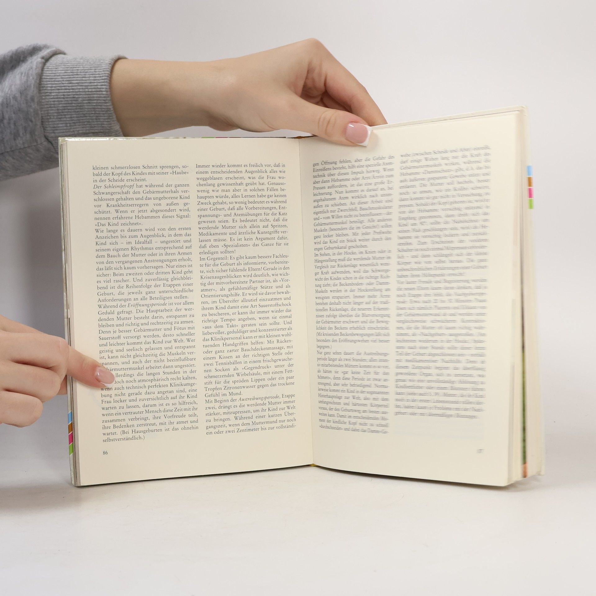 Lore Schultz-Wild Das neue Babybuch