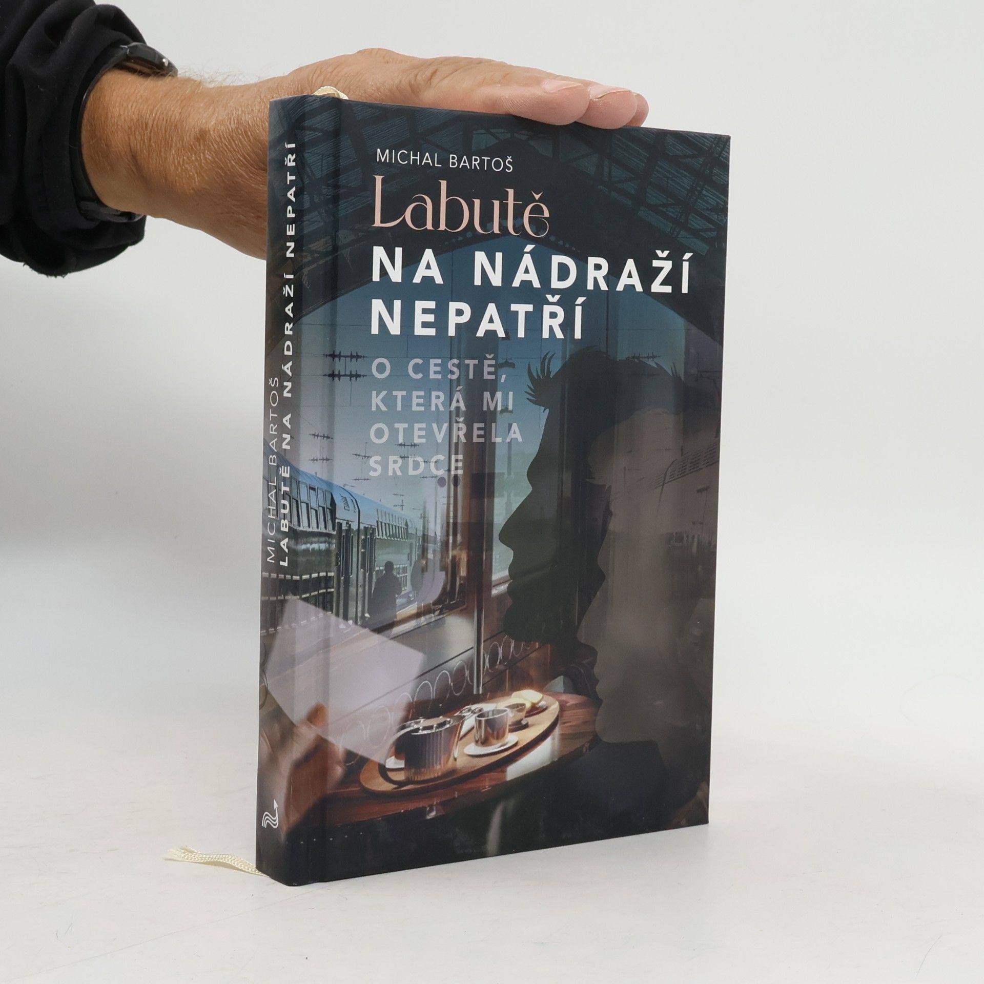 Labutě na nádraží nepatří