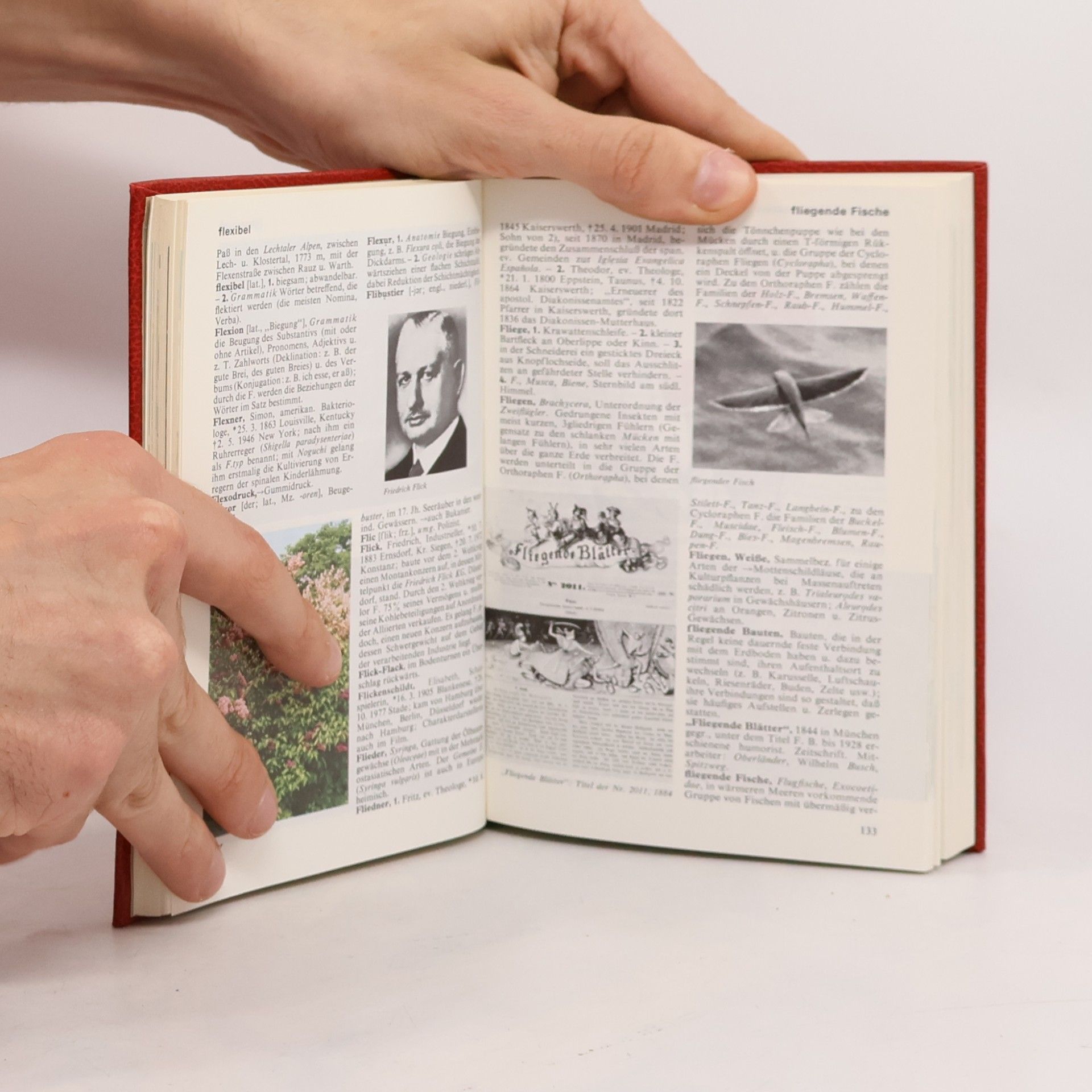 Various authors Das moderne Lexikon 6