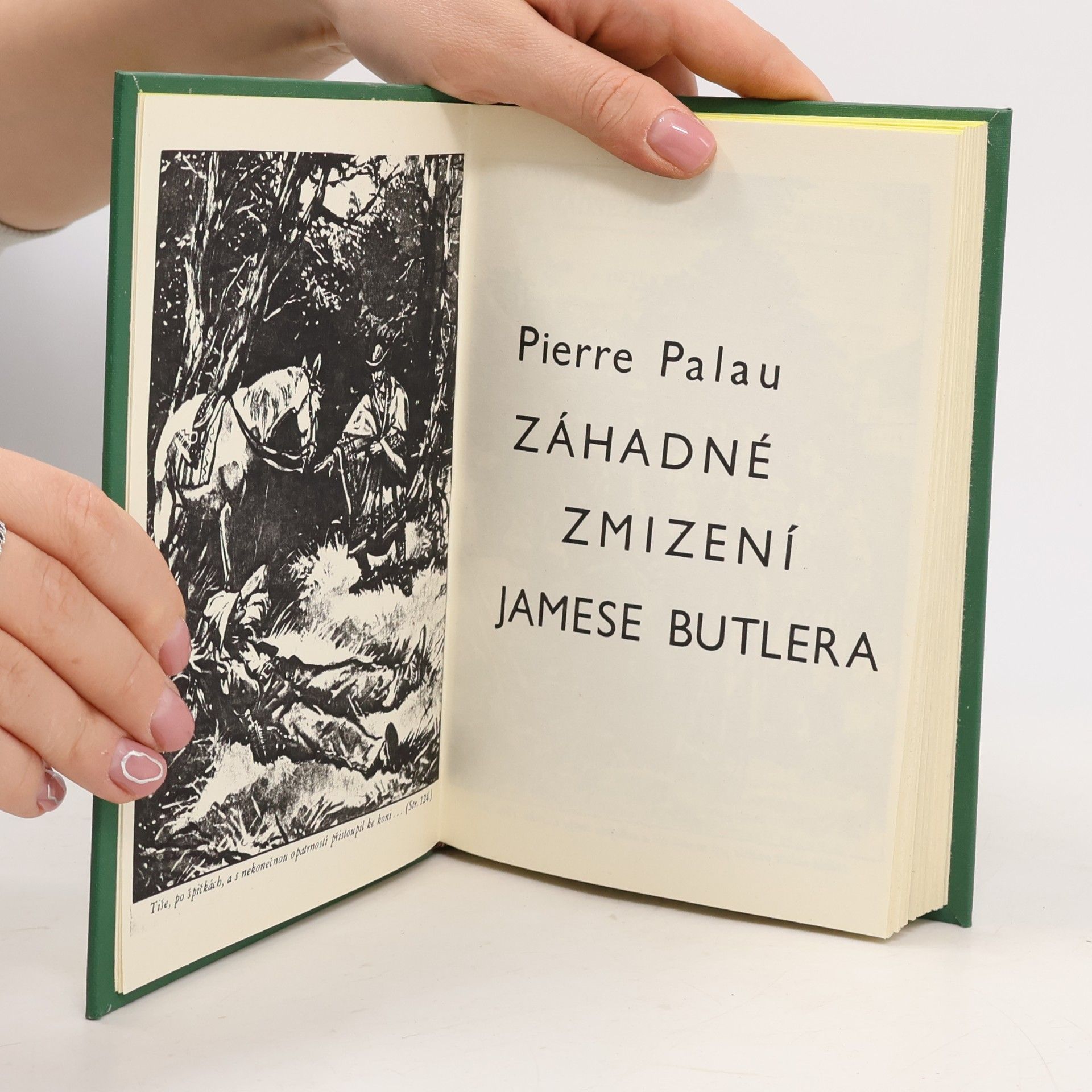 Palau Pierre Záhadné zmizení Jamese Butlera