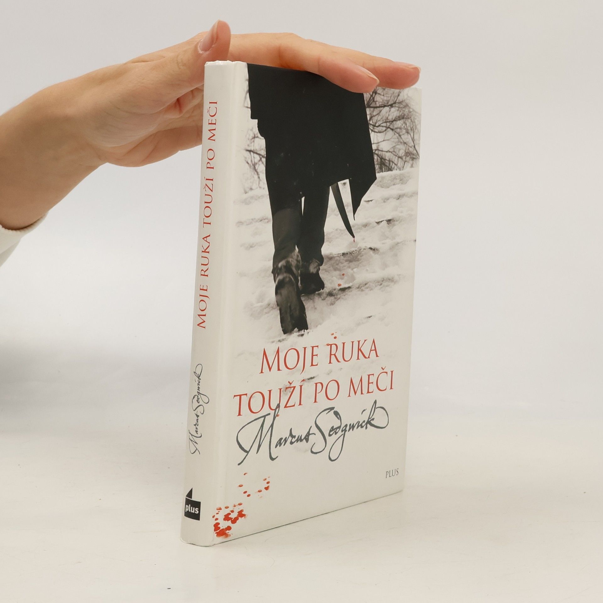 Marcus Sedgwick Moje ruka touží po meči