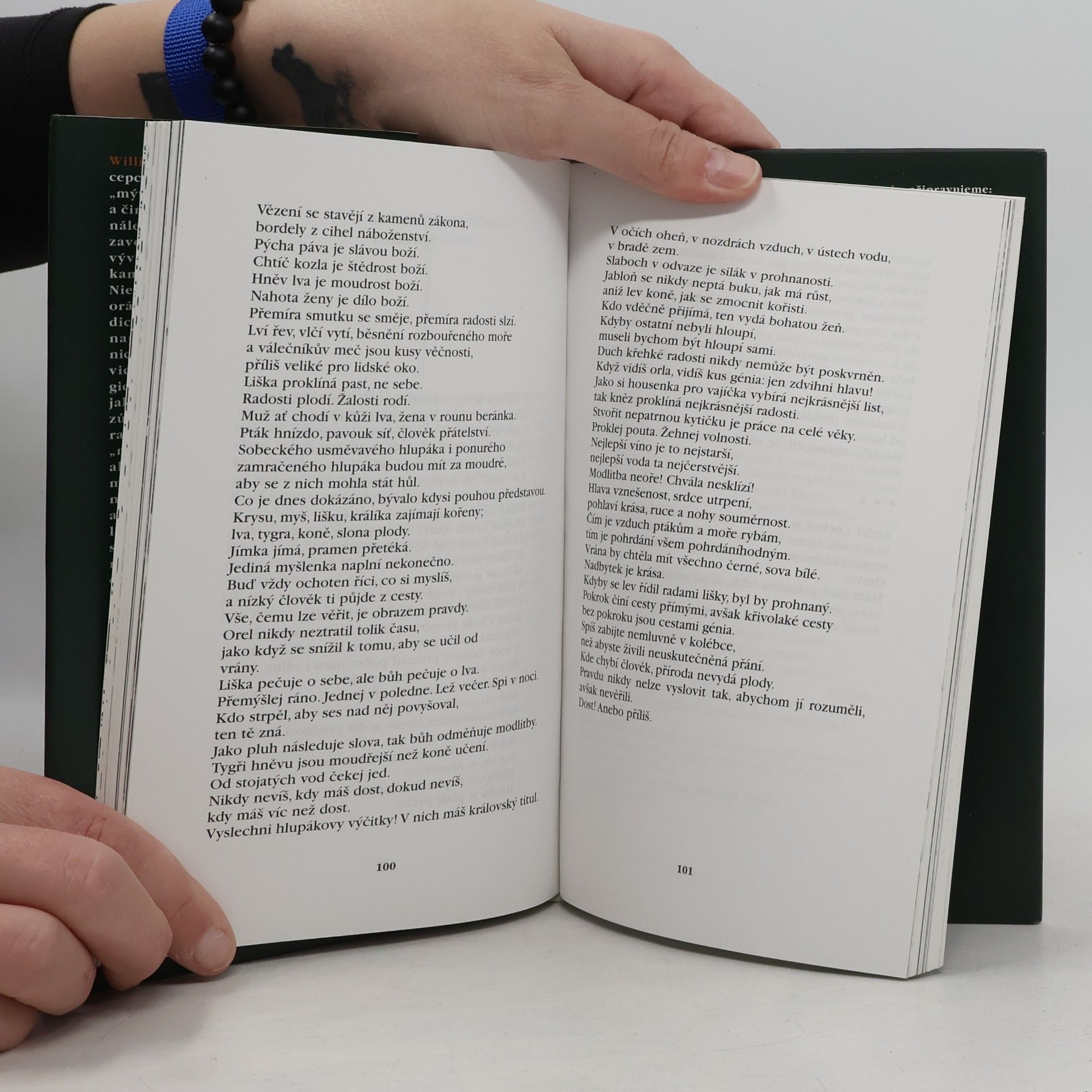 William Blake Napíšu verše kytkám na listy