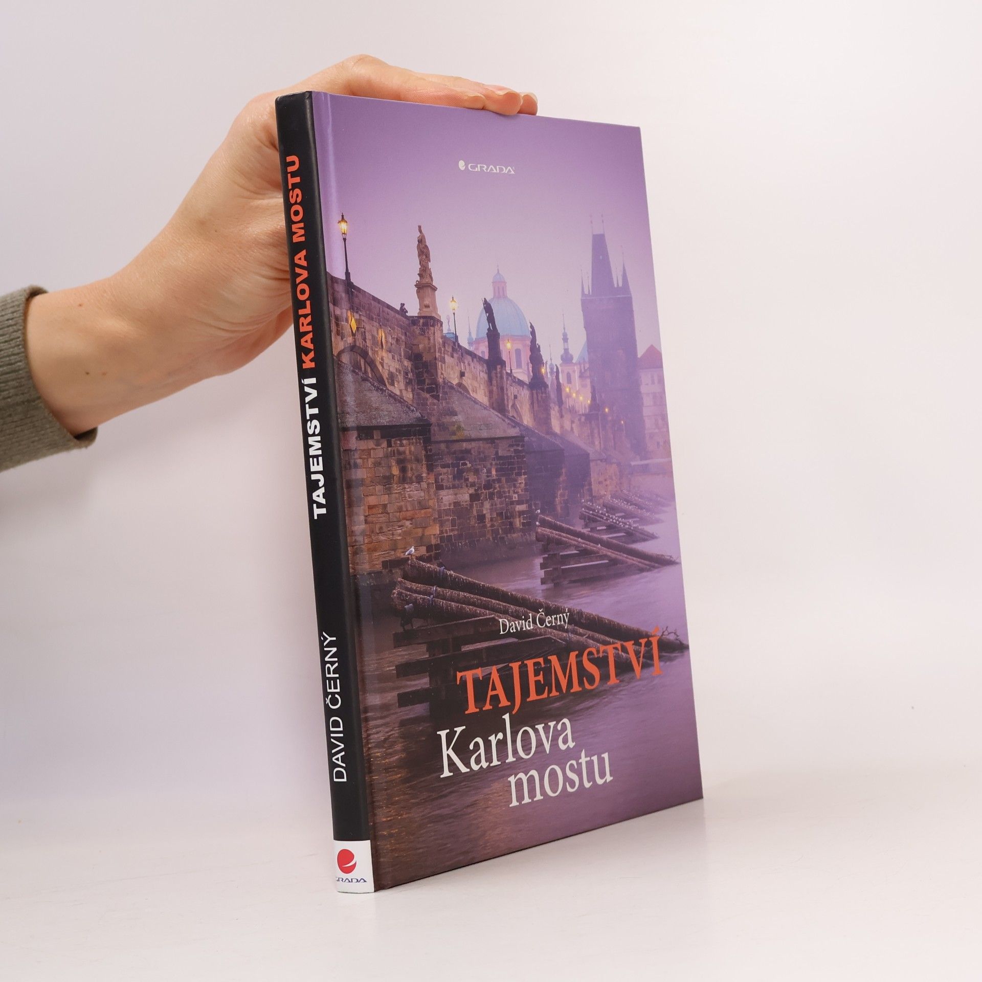 David Černý Tajemství Karlova mostu