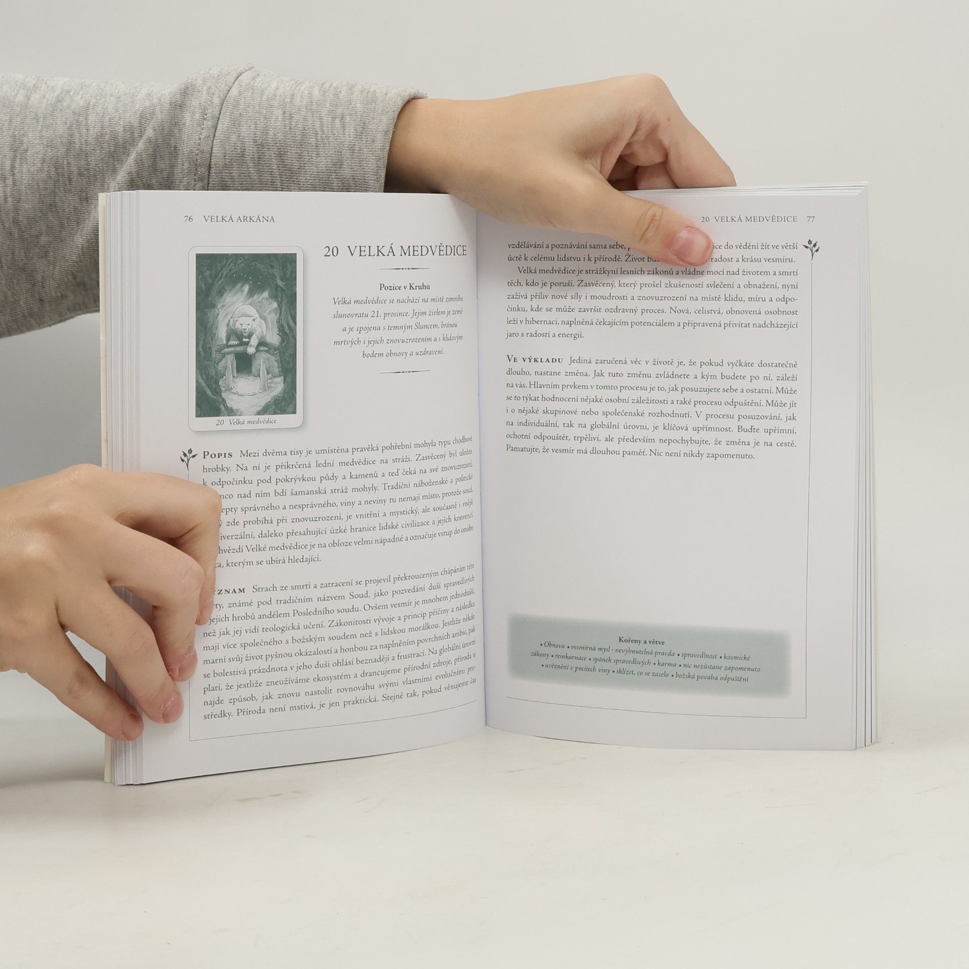 John Matthews Tarot divokého lesa