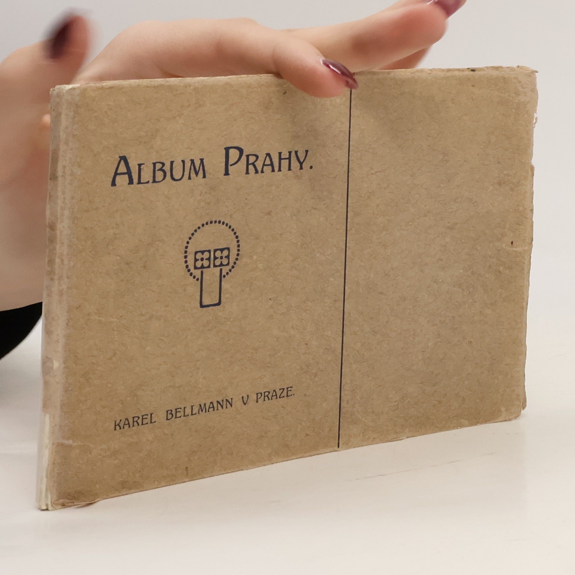 Kolektiv autorů Album Prahy