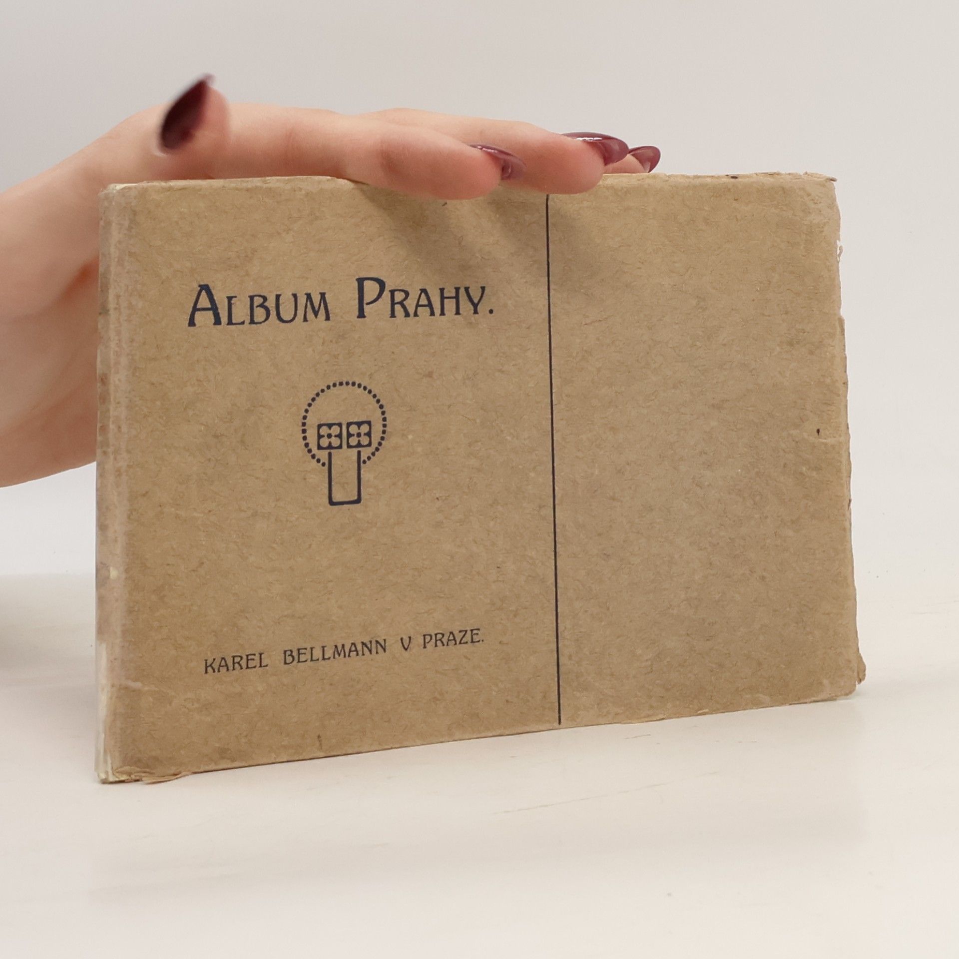 Kolektiv autorů Album Prahy