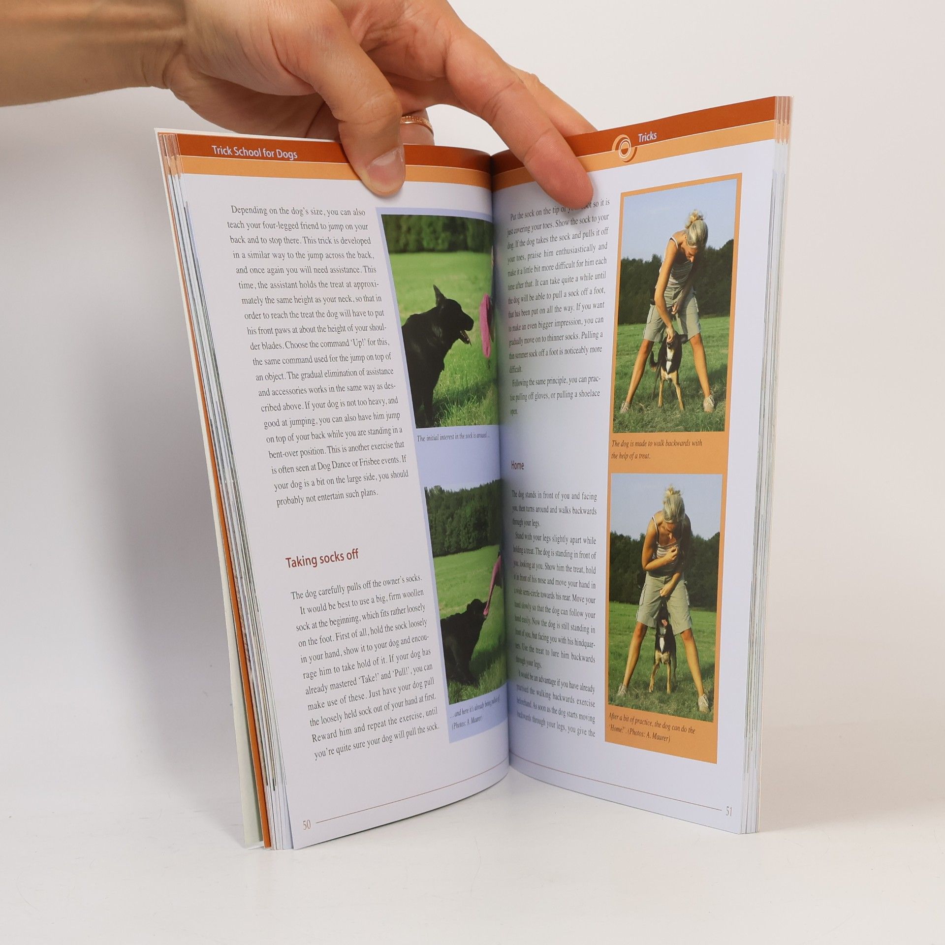 Manuela Zaitz Trick School for Dogs