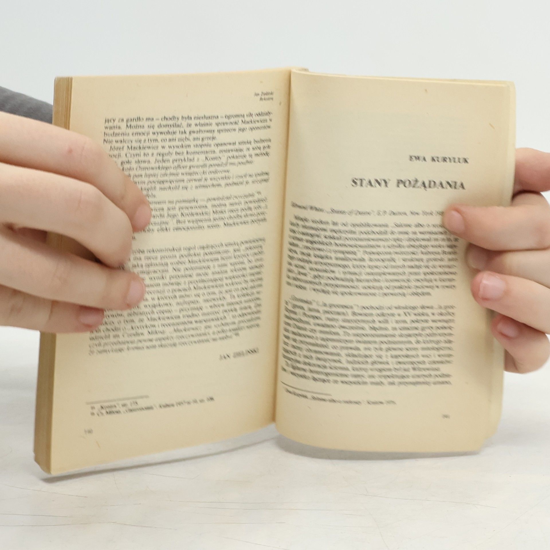 Jan Lebenstein Zeszyty Literackie 2
