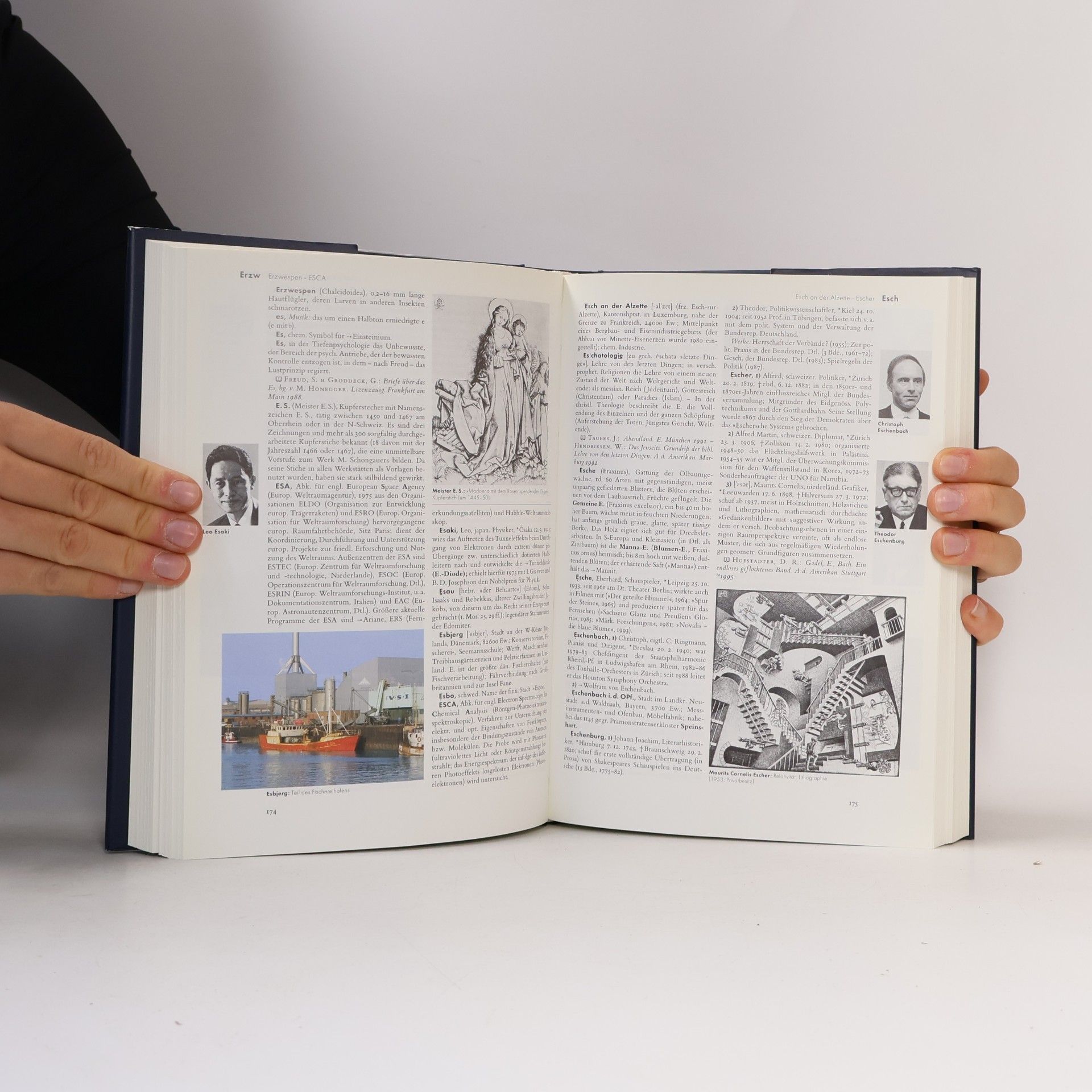Auteurscollectief Der Brockhaus in Fünfzehn Bänden 4. Eis-Fra