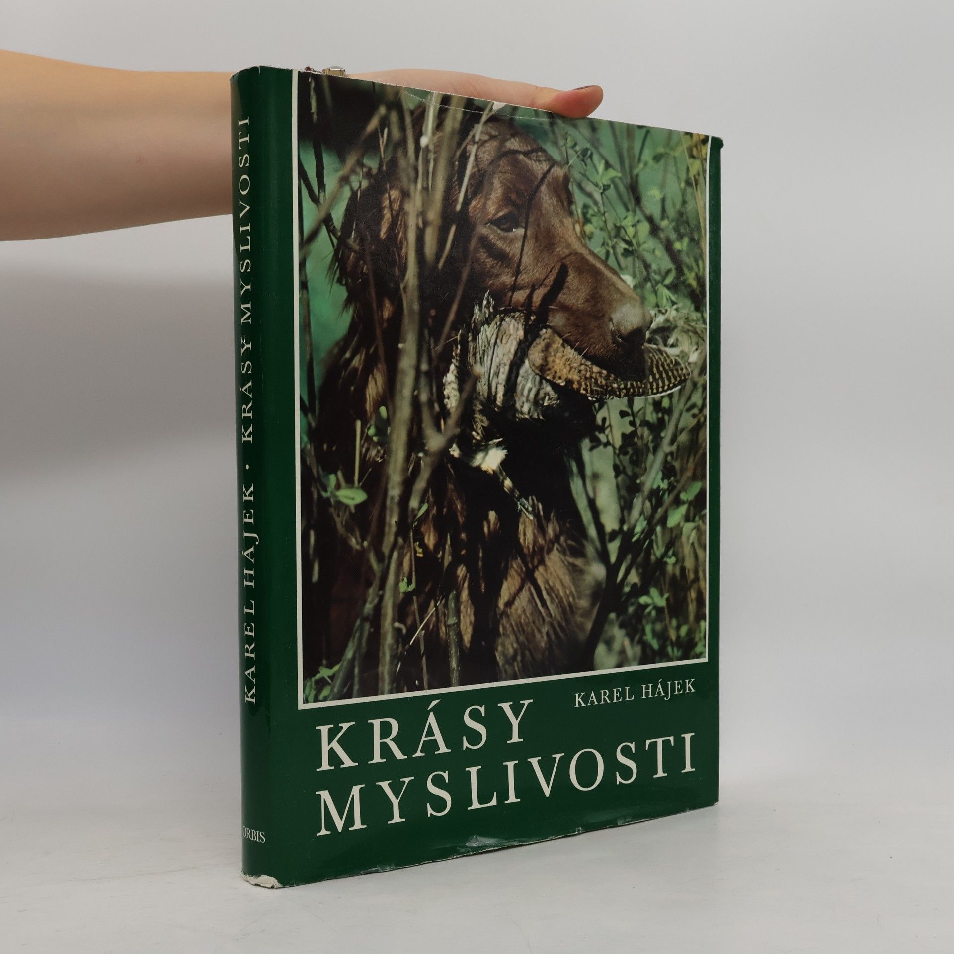 Krásy myslivosti