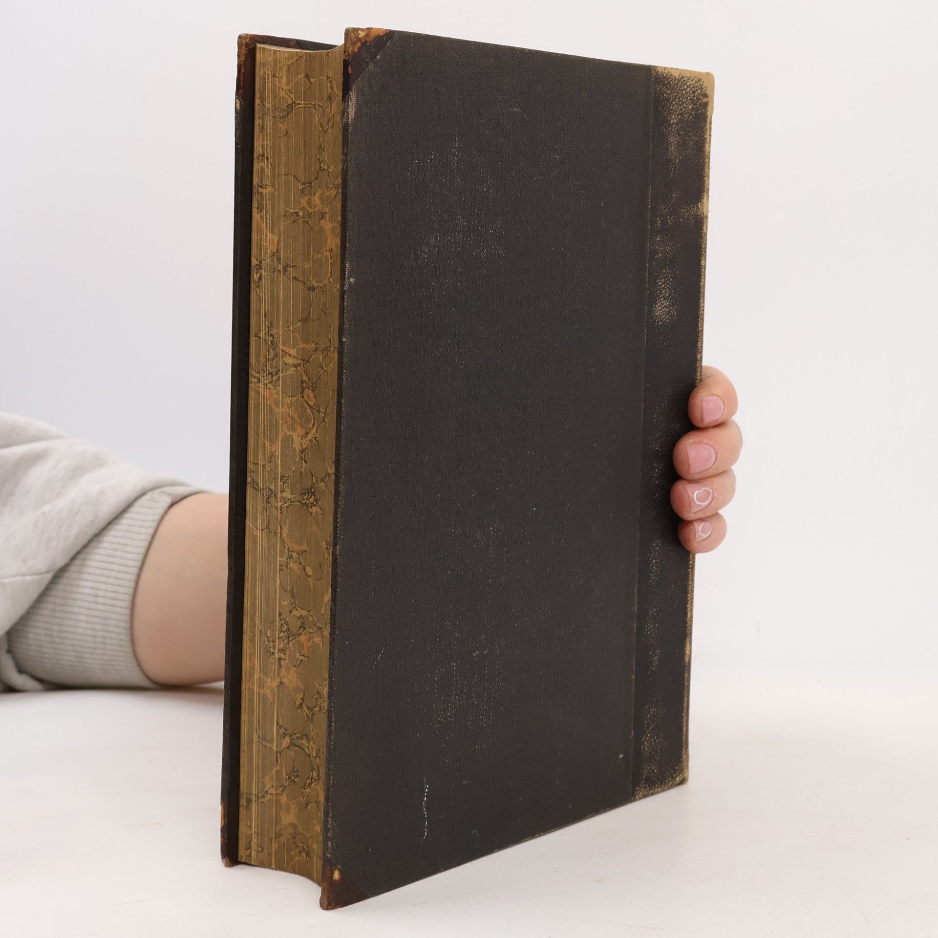 AA.VV. Die heilige Schrift des Alten und Neuen Testamentes. Erster Band