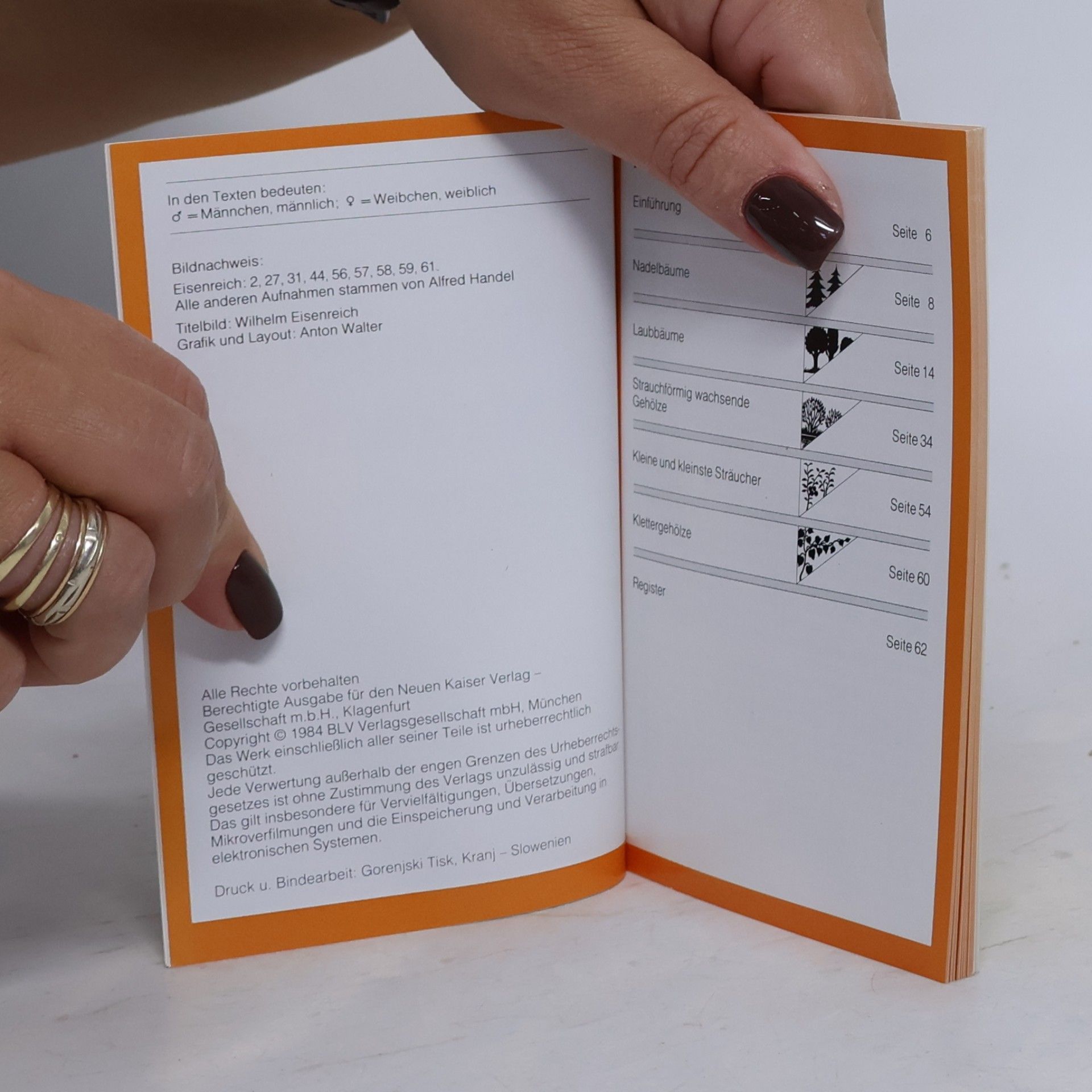 Autores varios Bäume und Sträucher