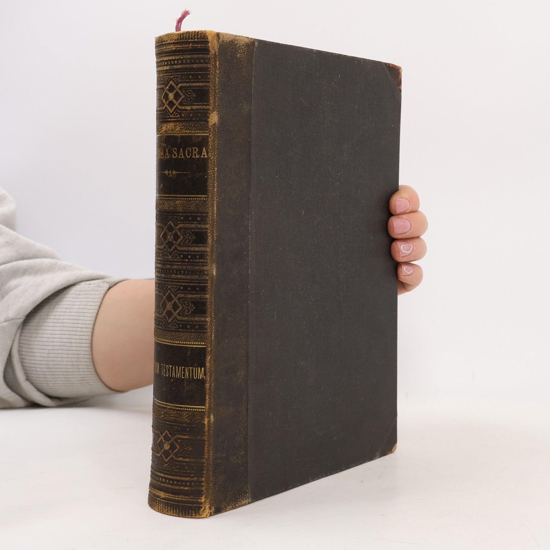 Autorenkollektiv Die heilige Schrift des Alten und Neuen Testamentes. Dritter Band