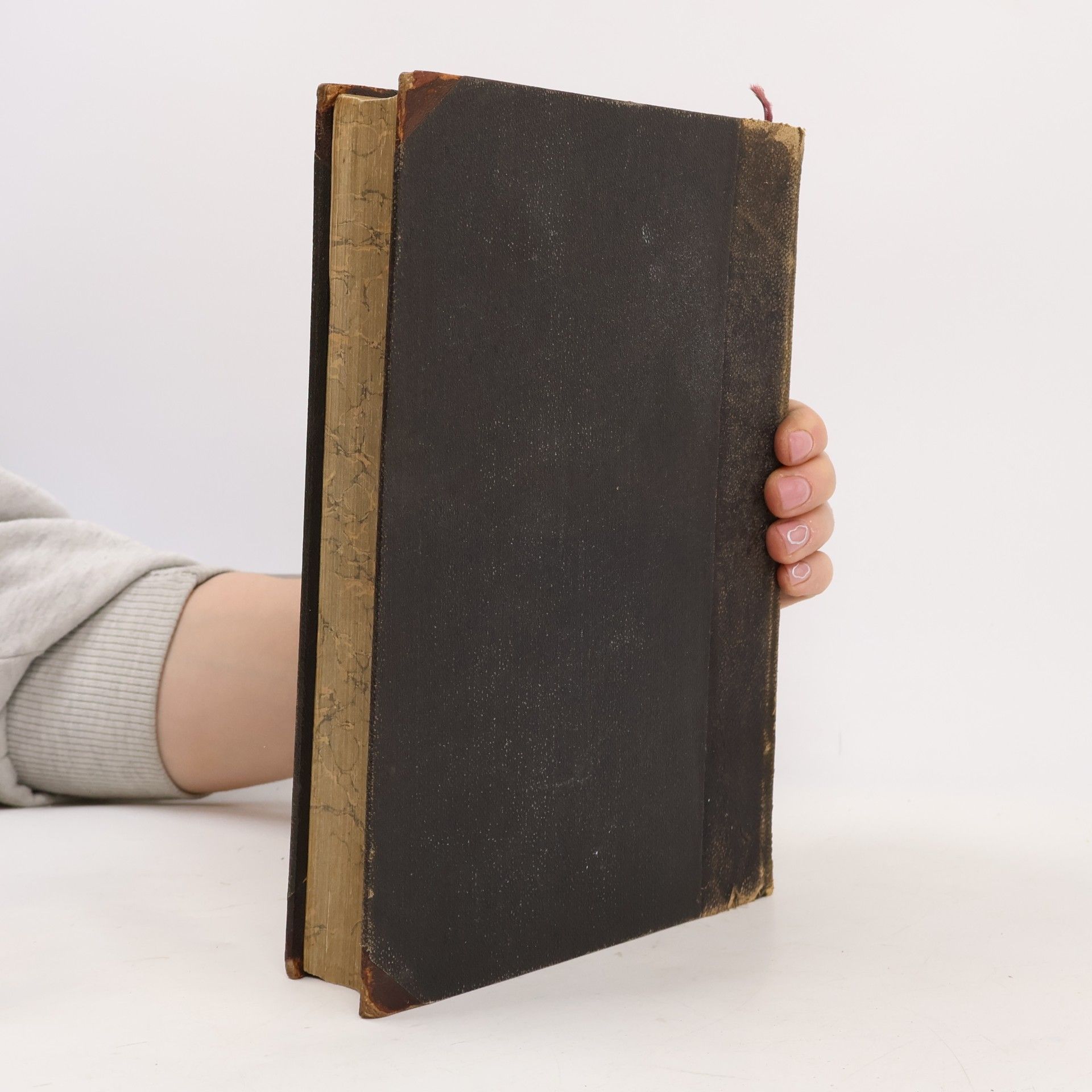 Autorenkollektiv Die heilige Schrift des Alten und Neuen Testamentes. Dritter Band