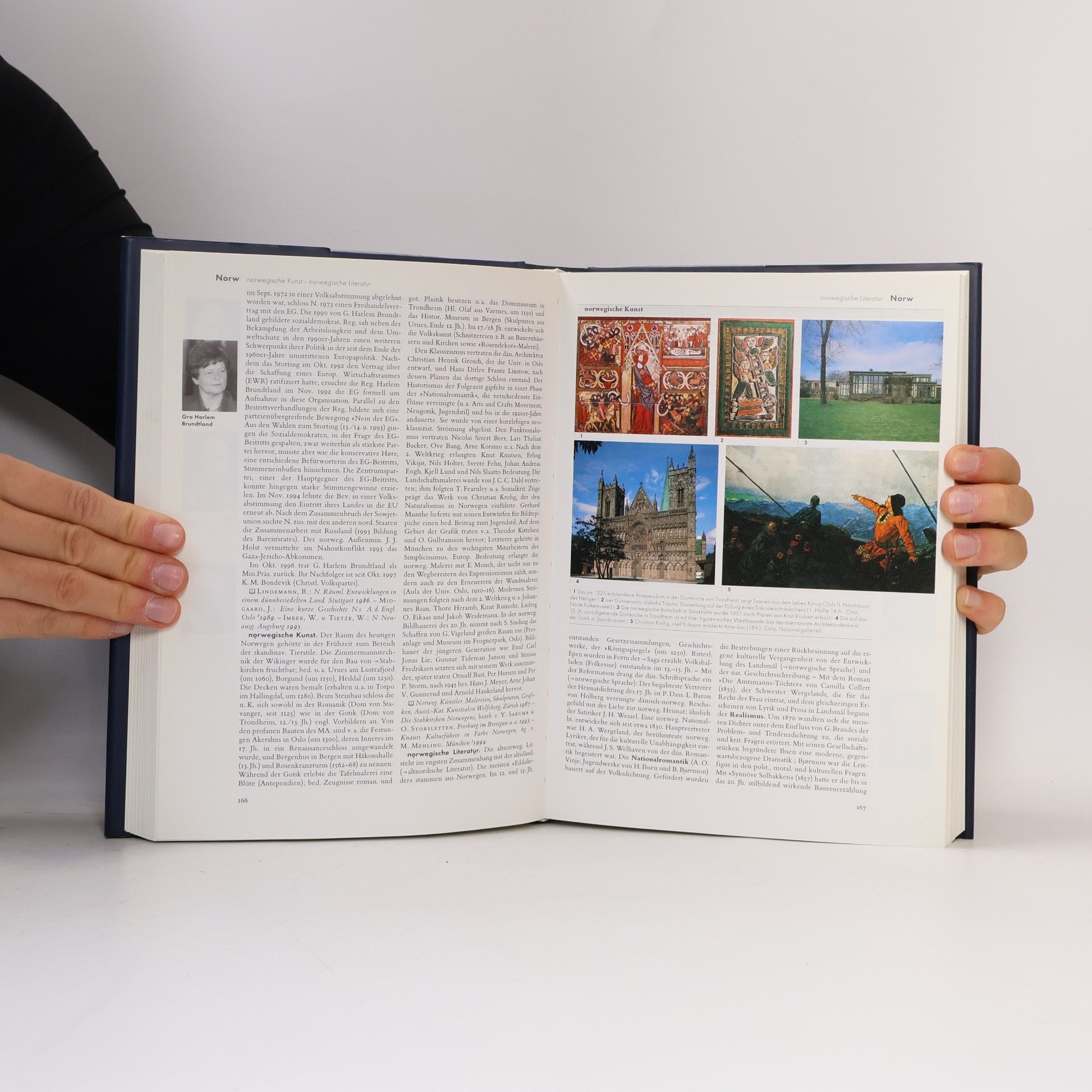 Auteurscollectief Der Brockhaus 10. Nas-Pfa