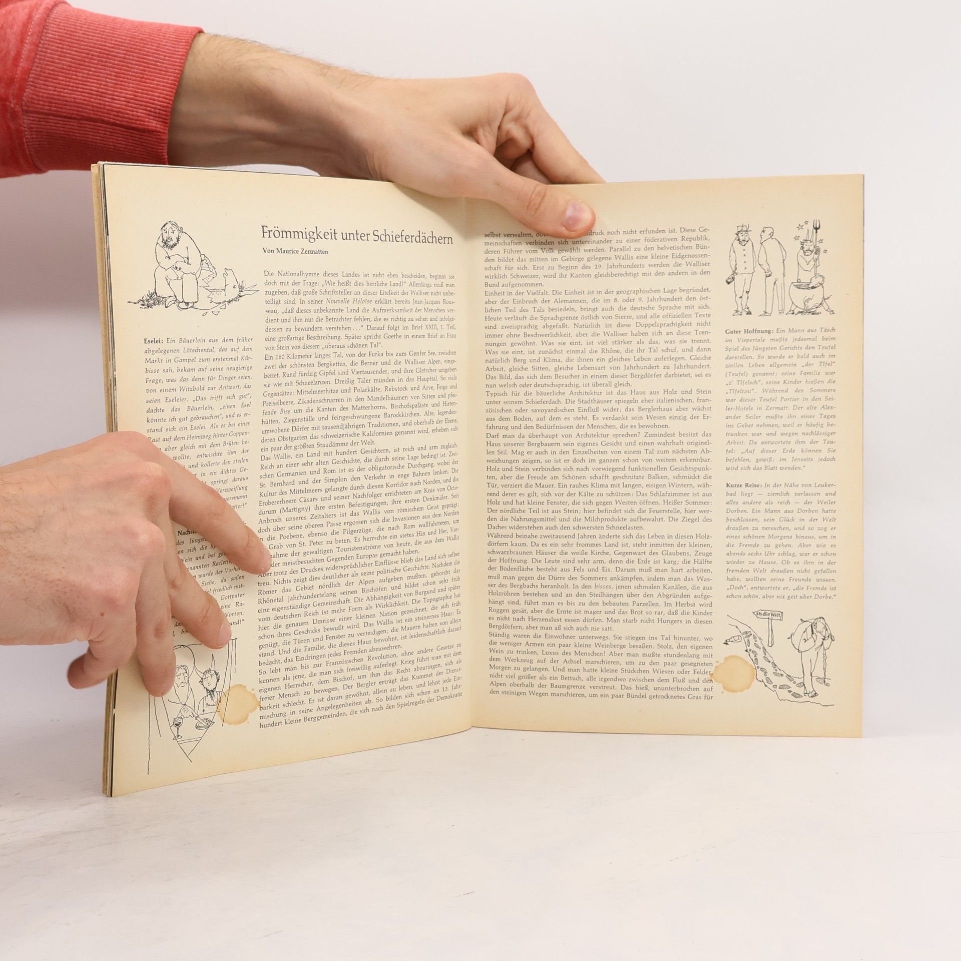 Various authors Merian. Das Wallis 12/XXI