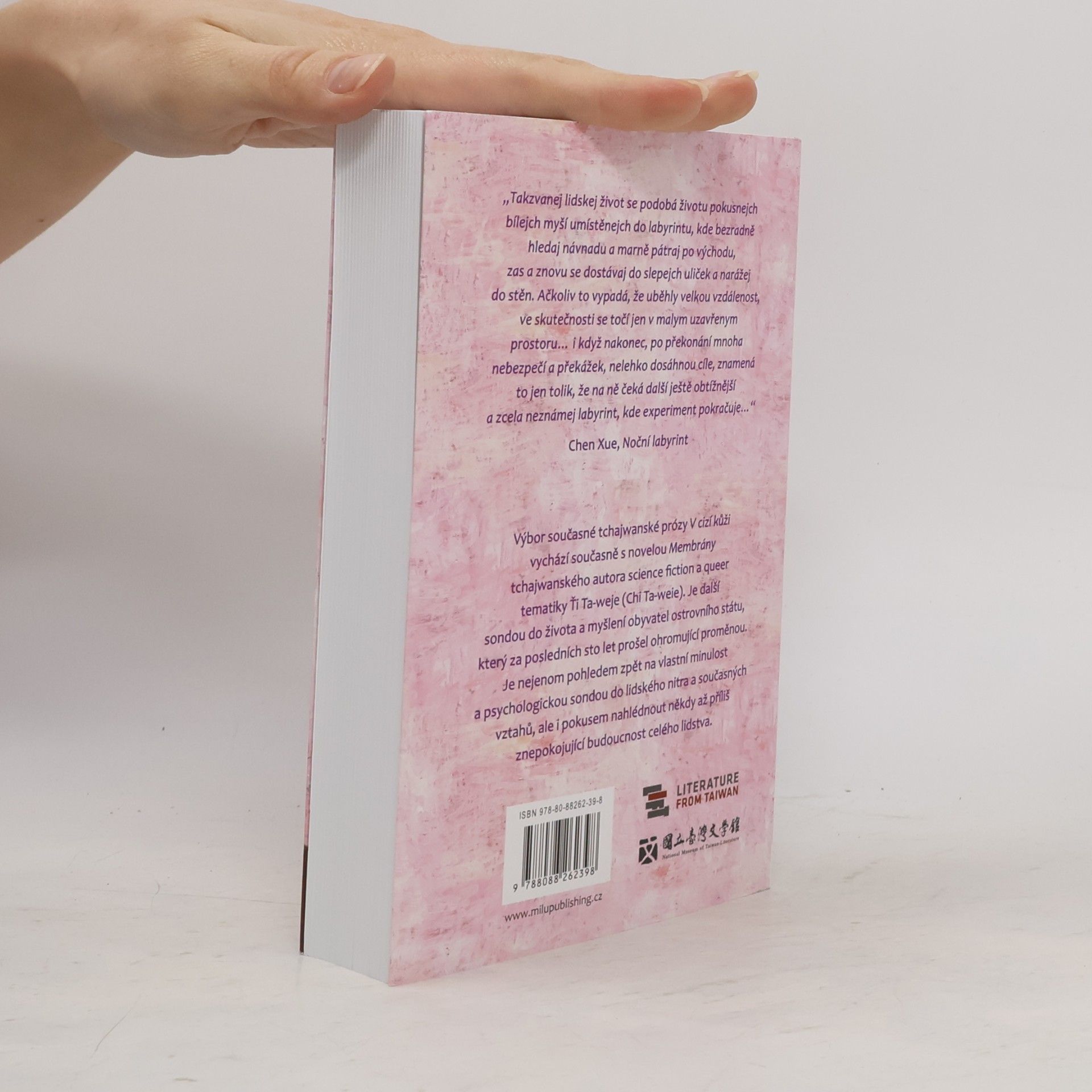 Autorenkollektiv V cizí kůži - Výbor moderní tchajwanské prózy /2