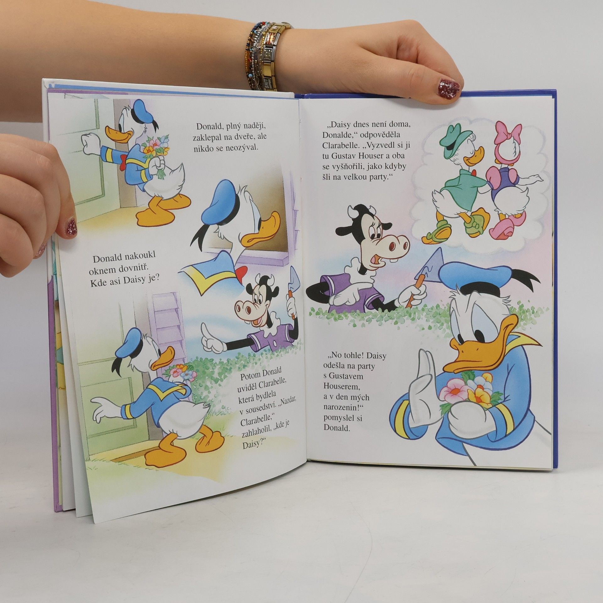 Autorenkollektiv Donaldovy narozeniny