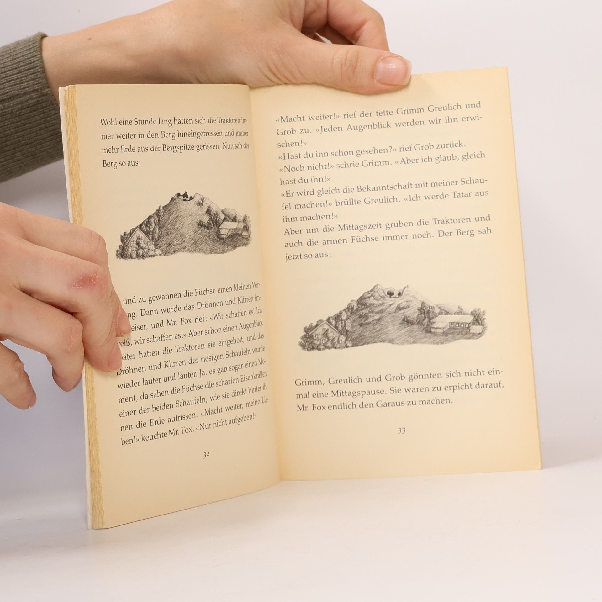 Roald Dahl Der fantastische Mr. Fox