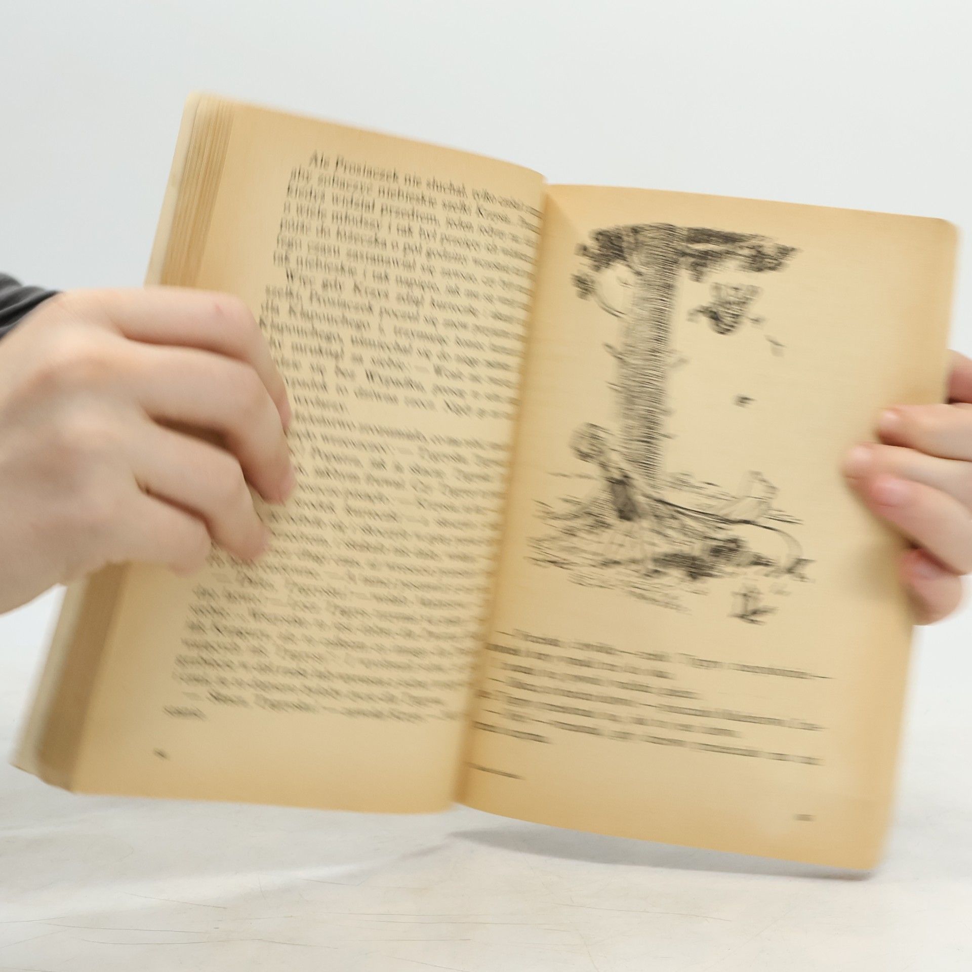 A.A. Milne Chatka Puchatka