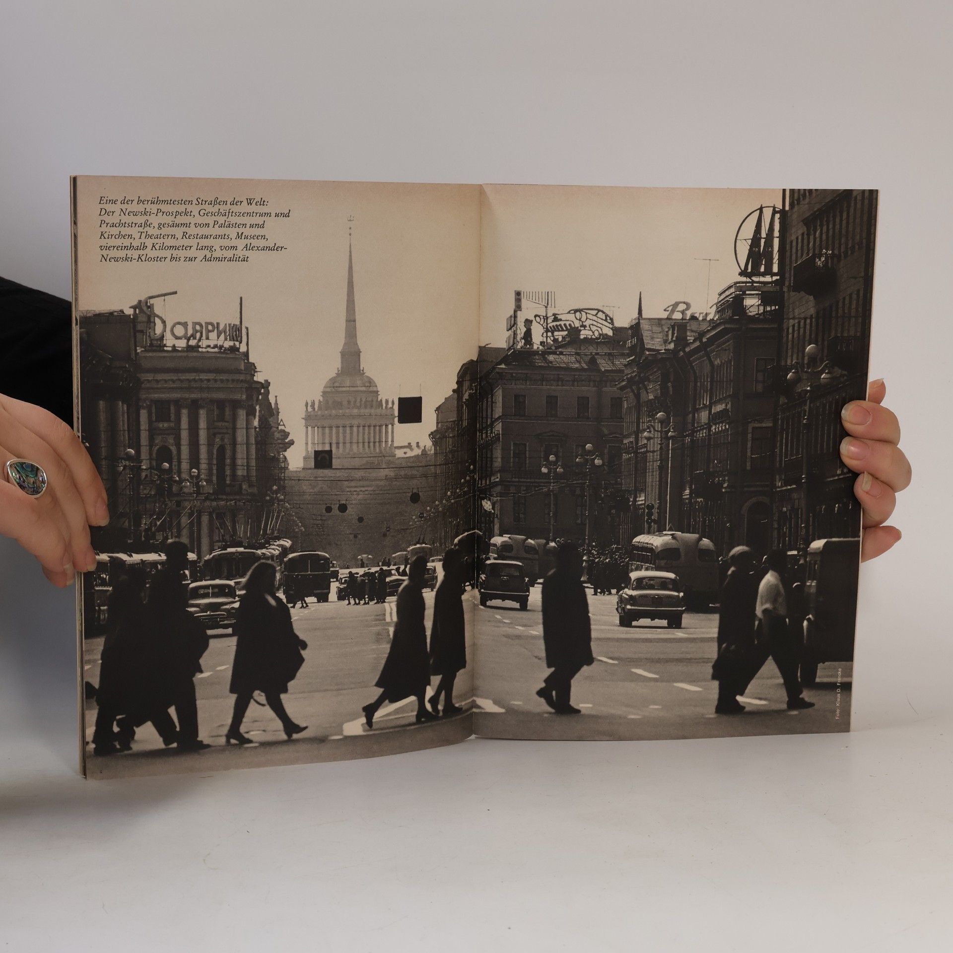 Albrecht J. Cropp Merian. Leningrad 10/XXIV
