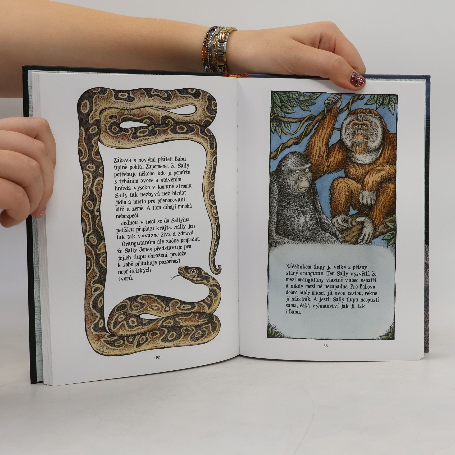 Jakob Wegelius Legenda o Sally Jones