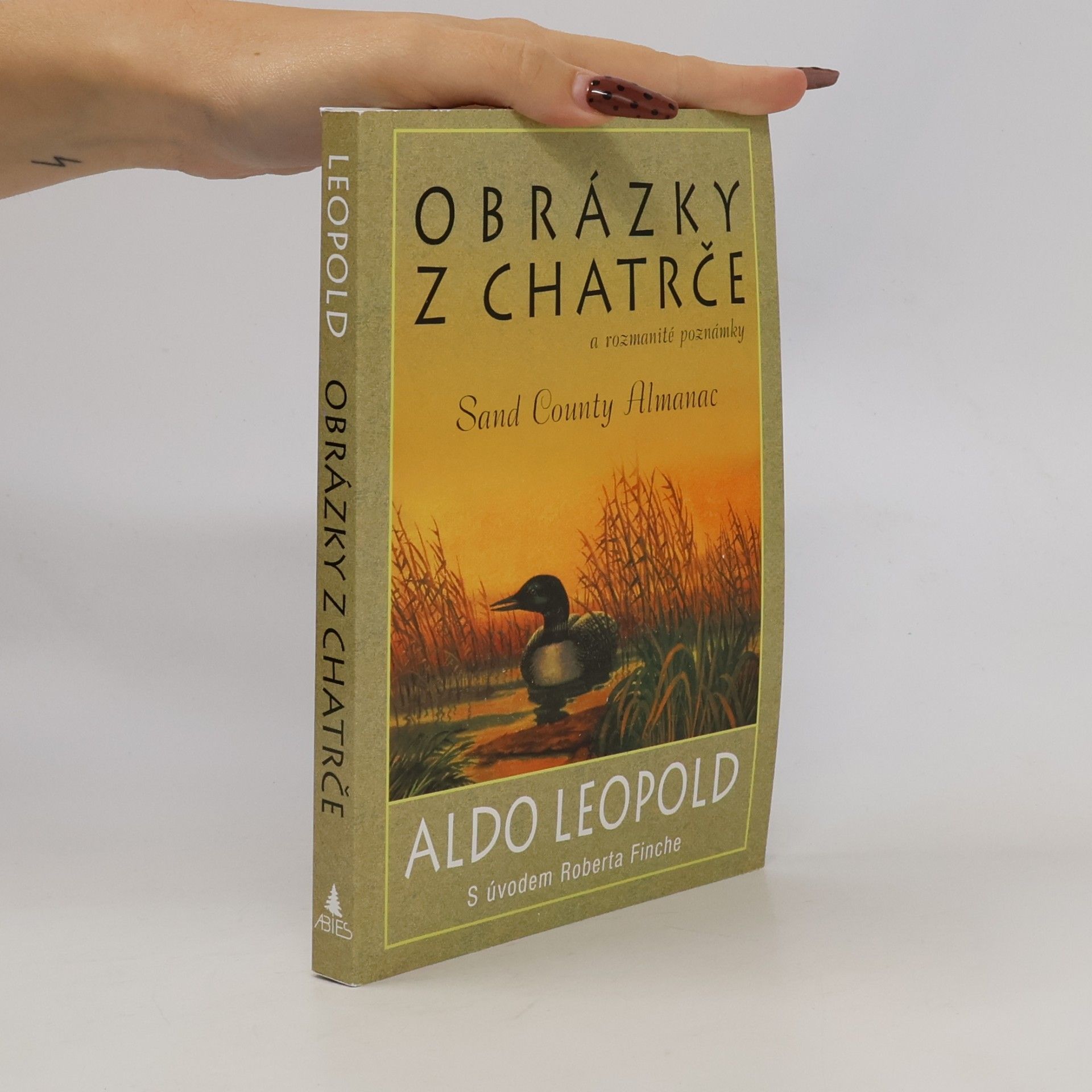 Obrázky z chatrče a rozmanité poznámky