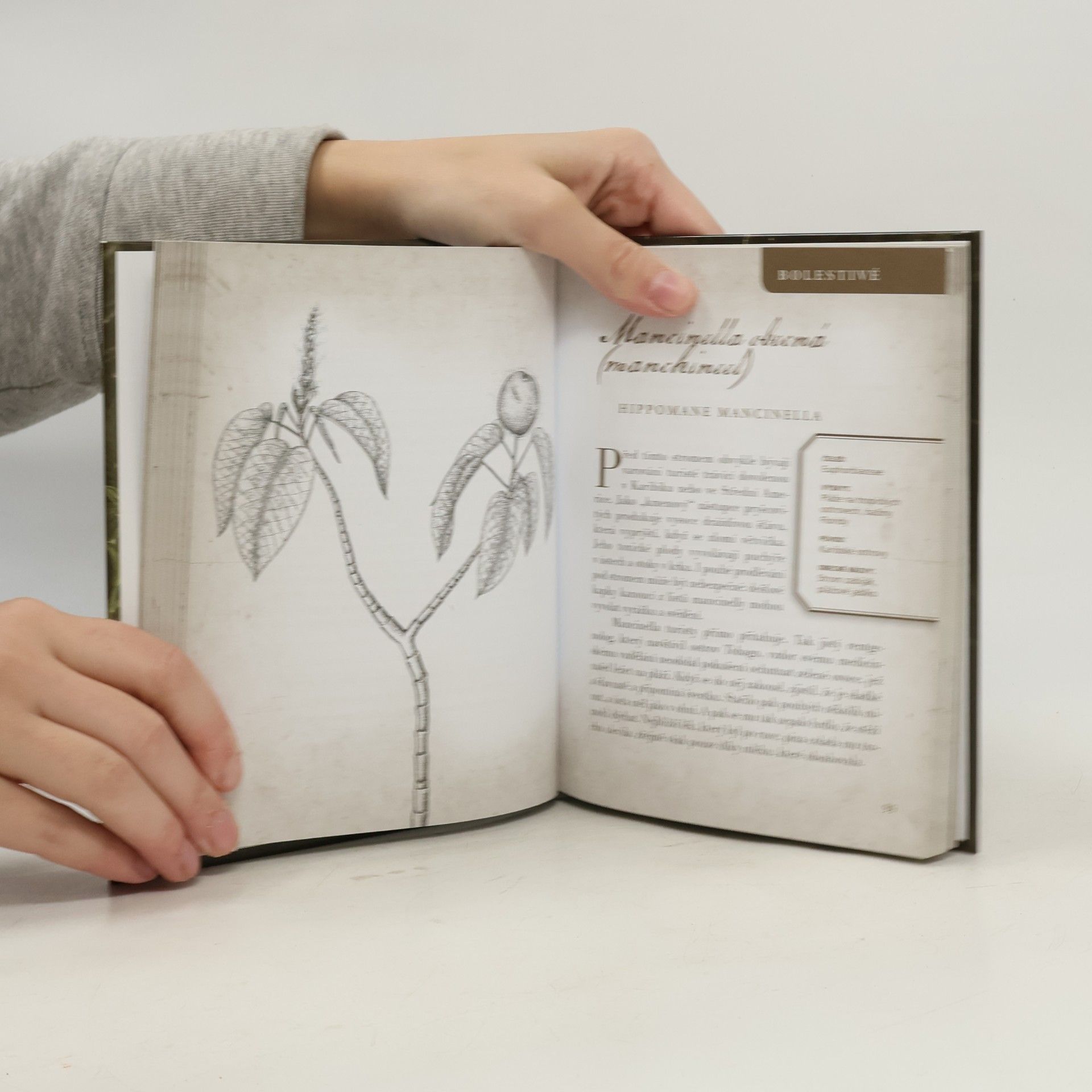 Amy Stewart Zlé rostliny a další botanická zvěrstva