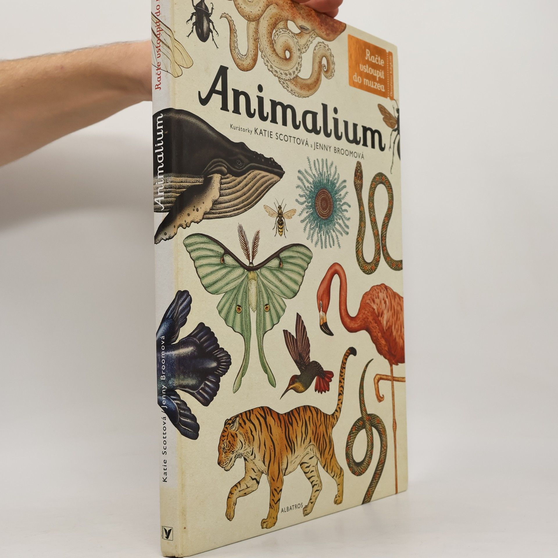 Animalium