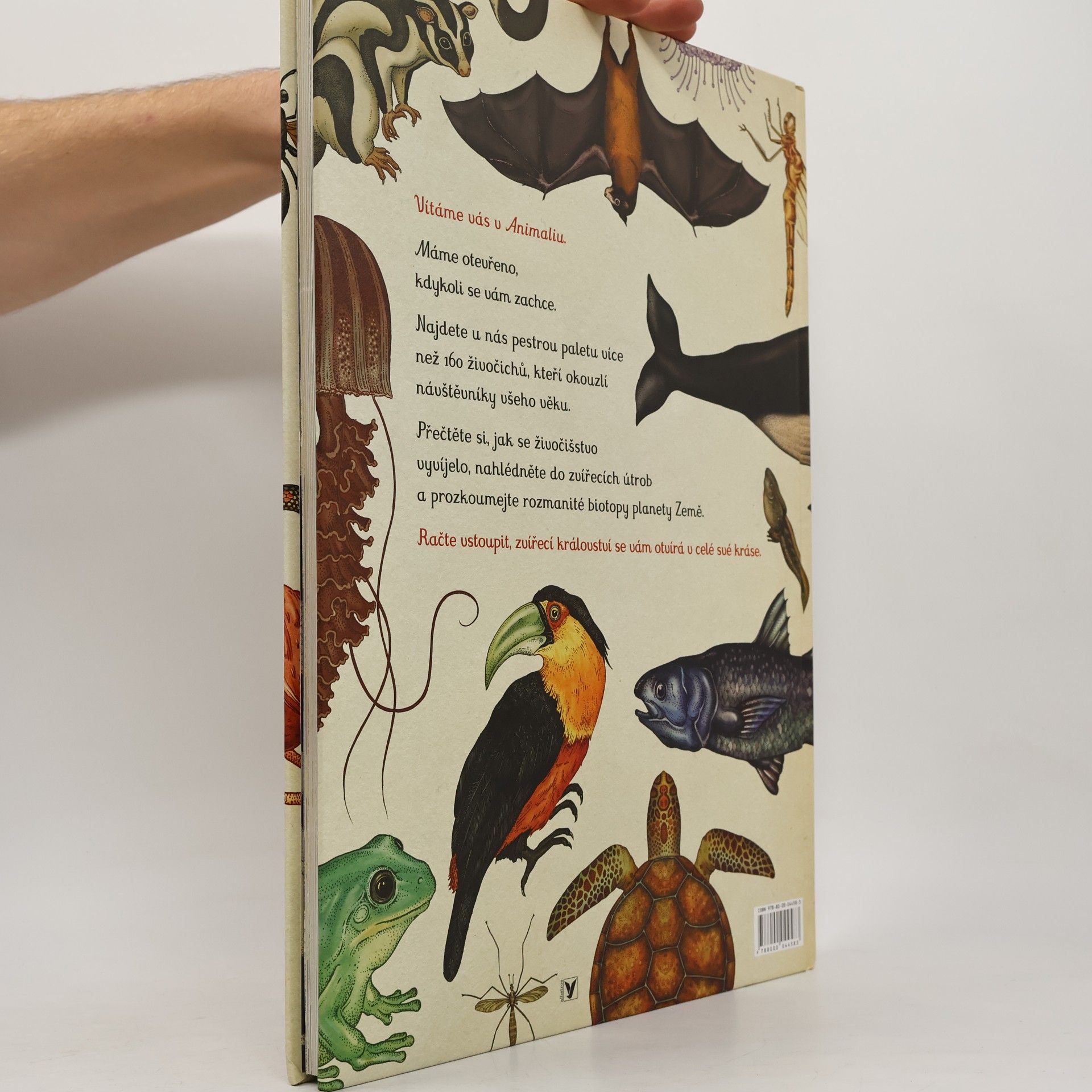 Katie Scott Animalium