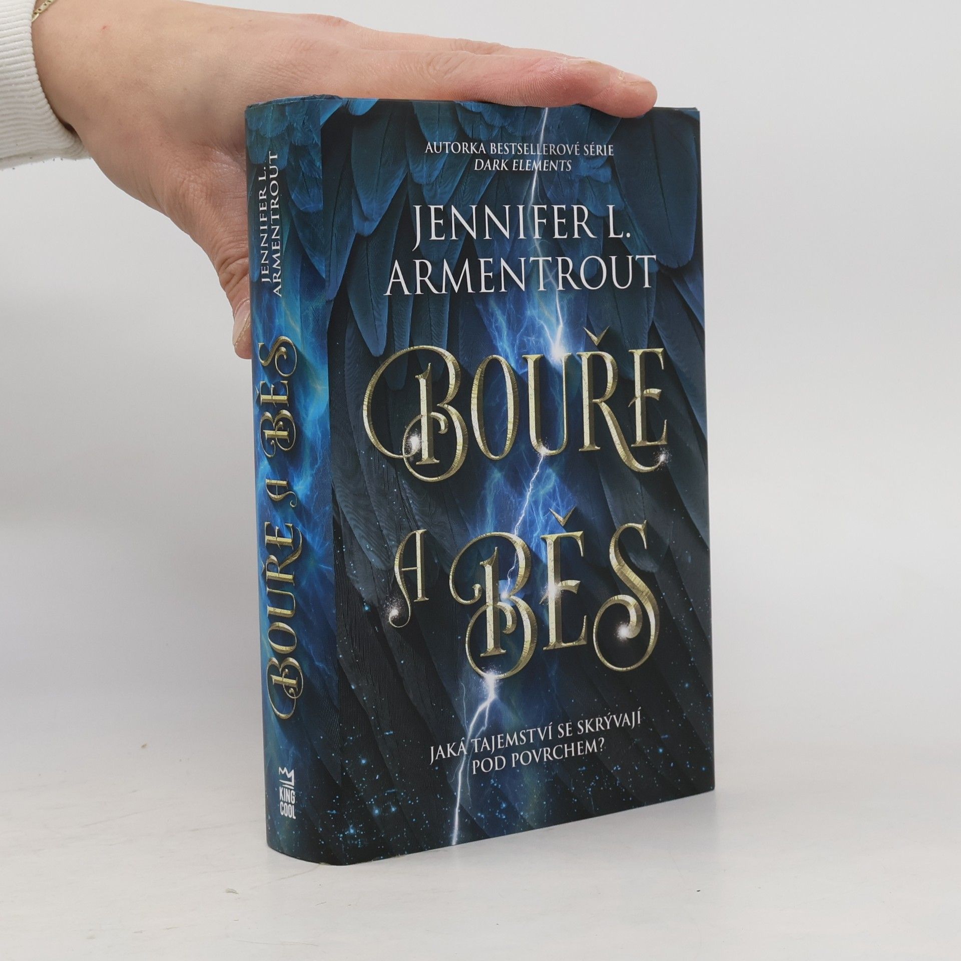 Jennifer L. Armentrout Bouře a běs