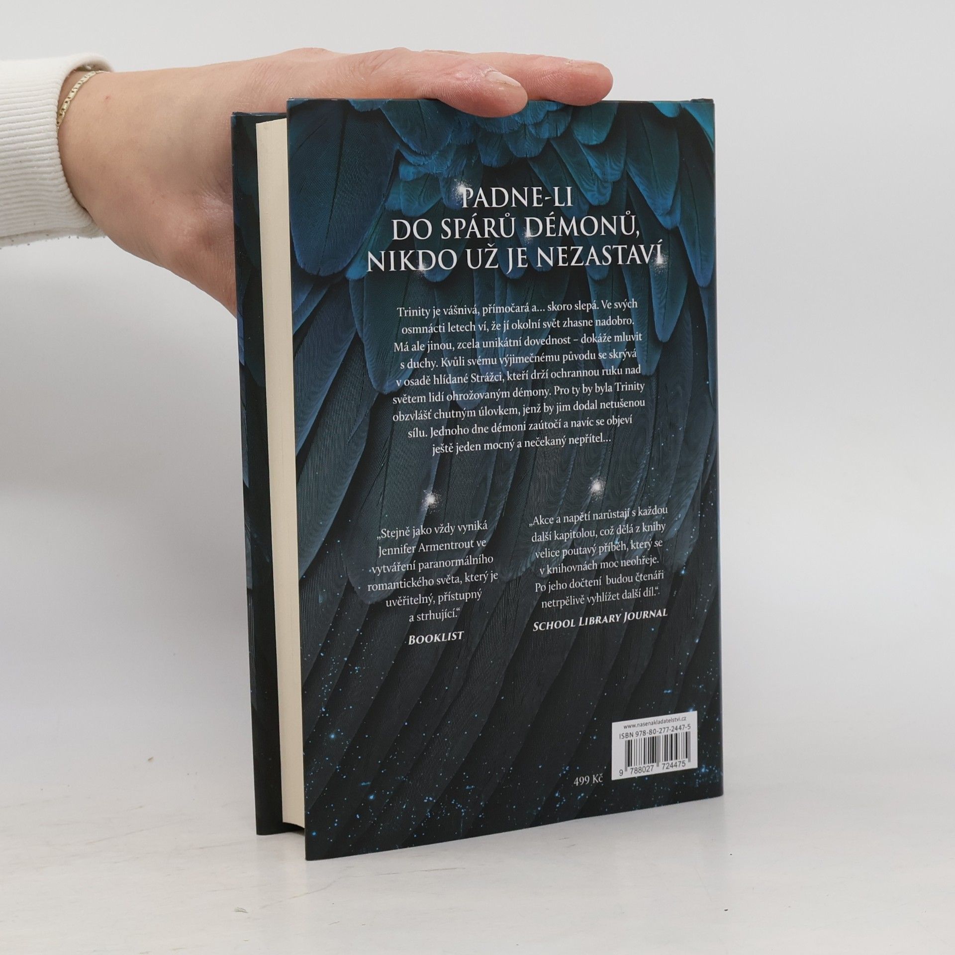 Jennifer L. Armentrout Bouře a běs