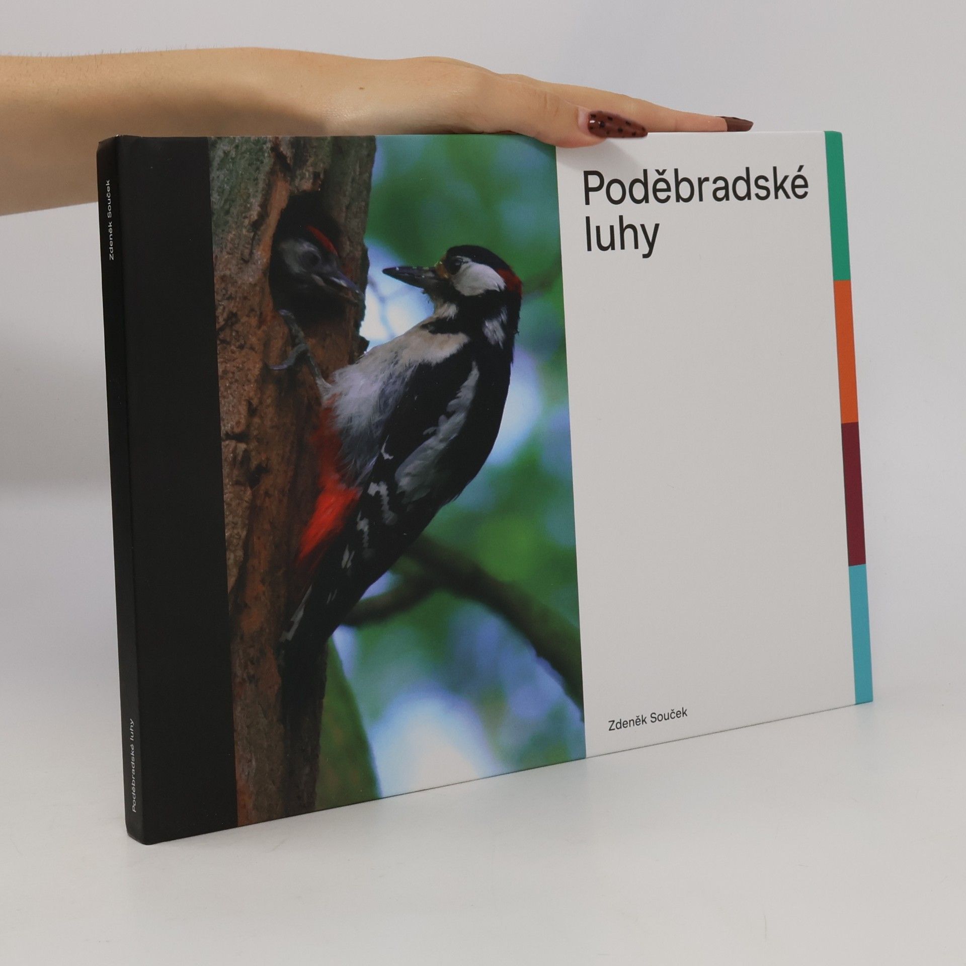 Poděbradské luhy