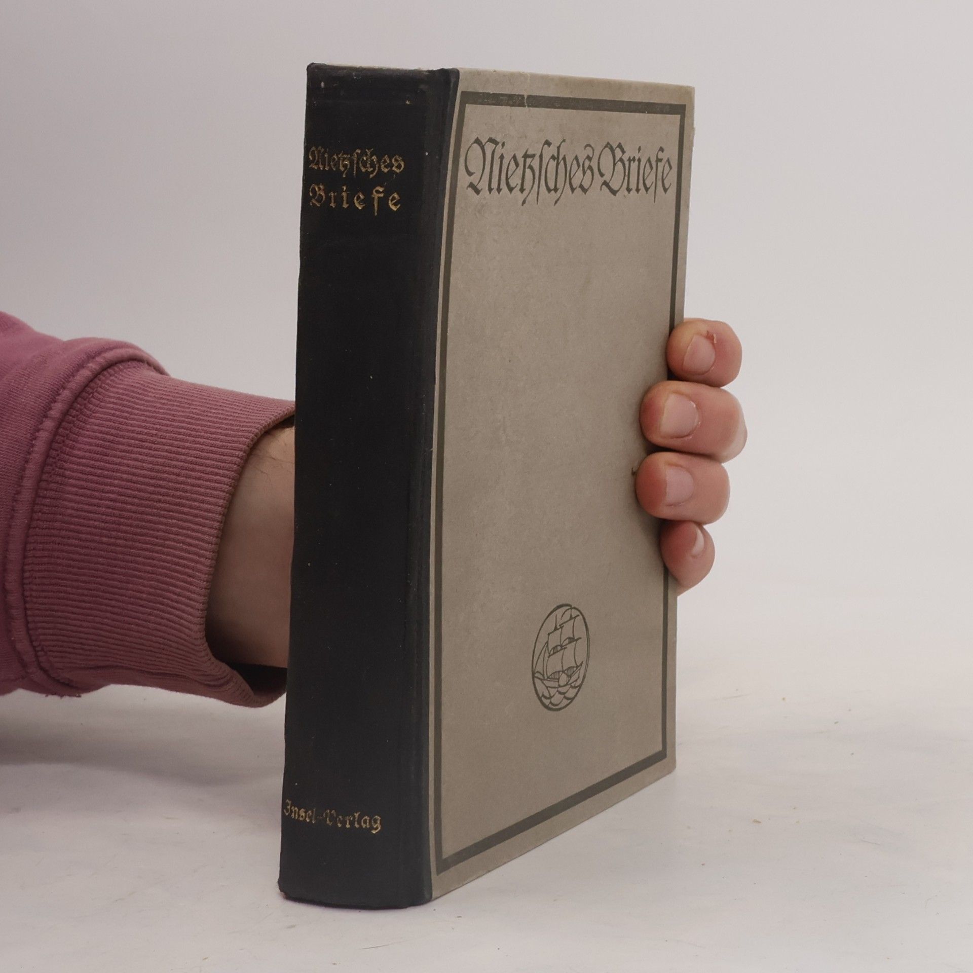 Friedrich Nietzsche Nietzsches Briefe