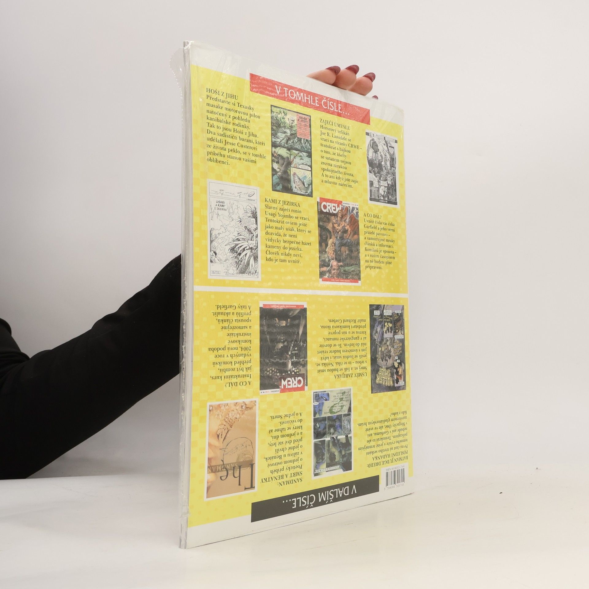 Autorenkollektiv Crew 2 : Hoši z jihu, Usagi Yojimbo