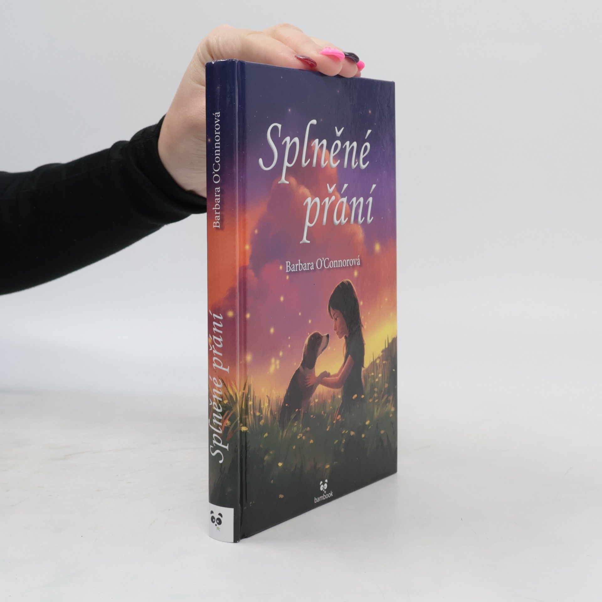 Barbara O'Connor Splněné přání