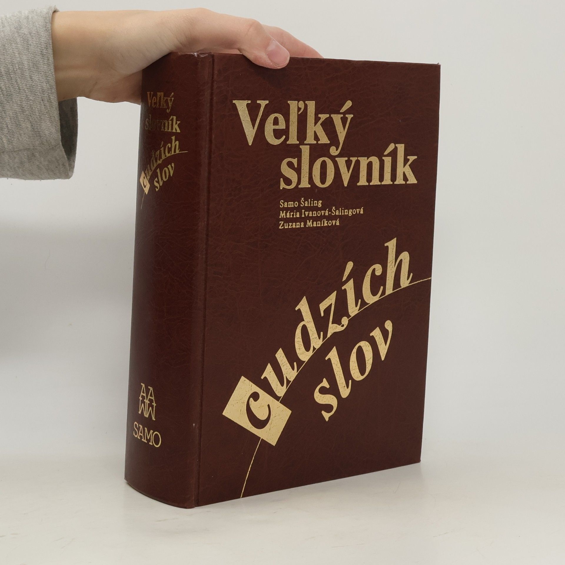Veľký slovník cudzích slov
