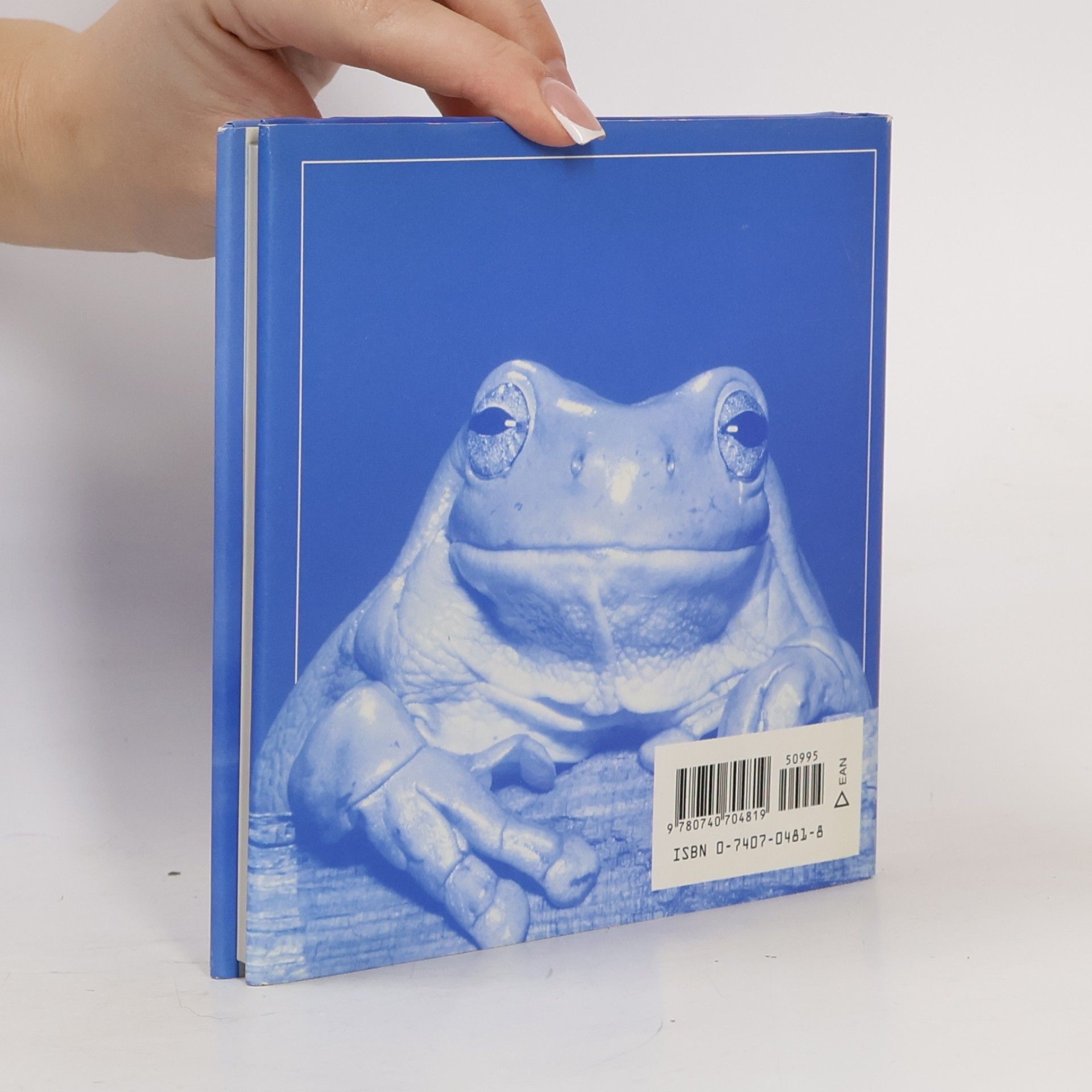 Greive Bradley Trevor The Blue Day Book